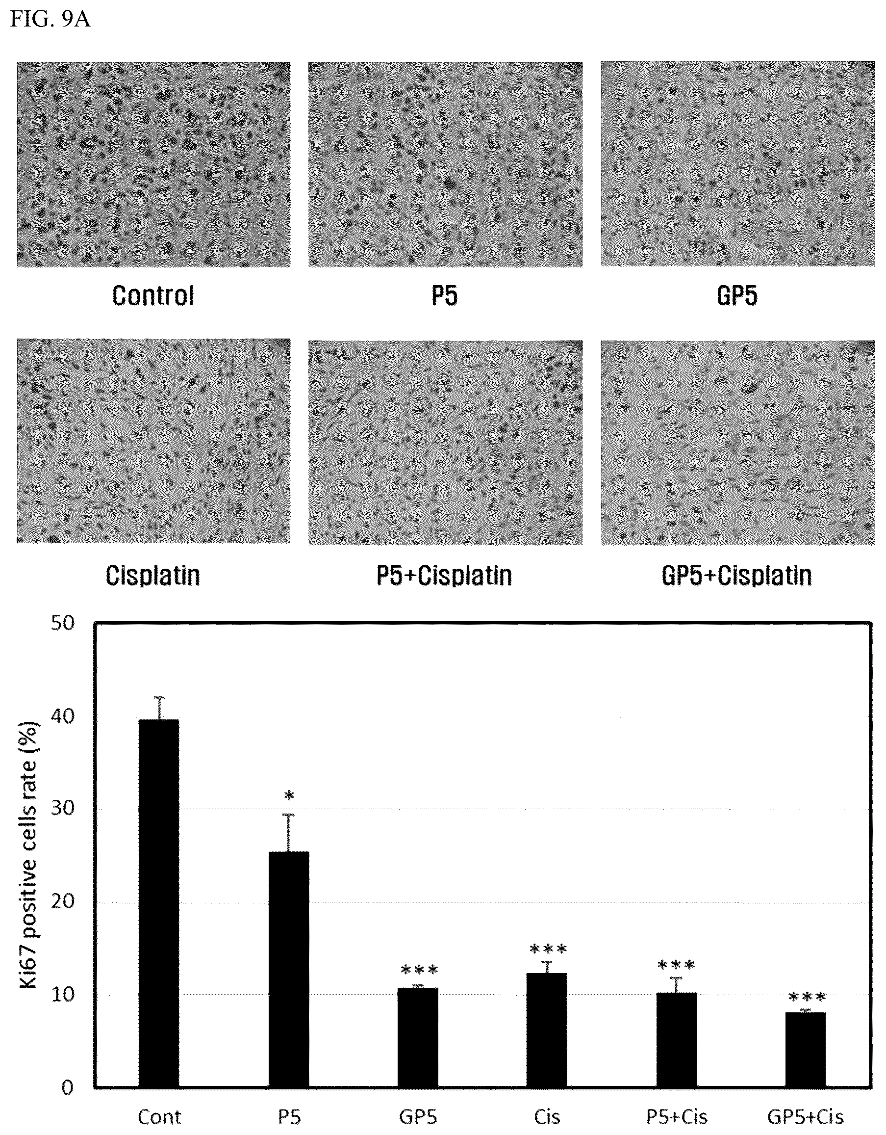 Patent US12319732 Figure 14 – Anti-beta 1 integrin humanized antibody, and pharmaceutical composition for treating cancer, comprising same