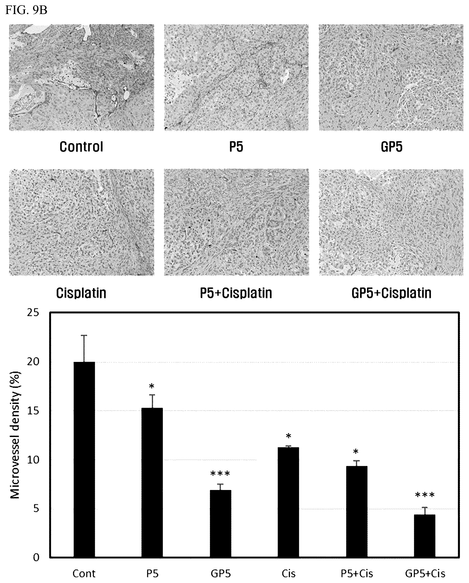 Patent US12319732 Figure 15 – Anti-beta 1 integrin humanized antibody, and pharmaceutical composition for treating cancer, comprising same