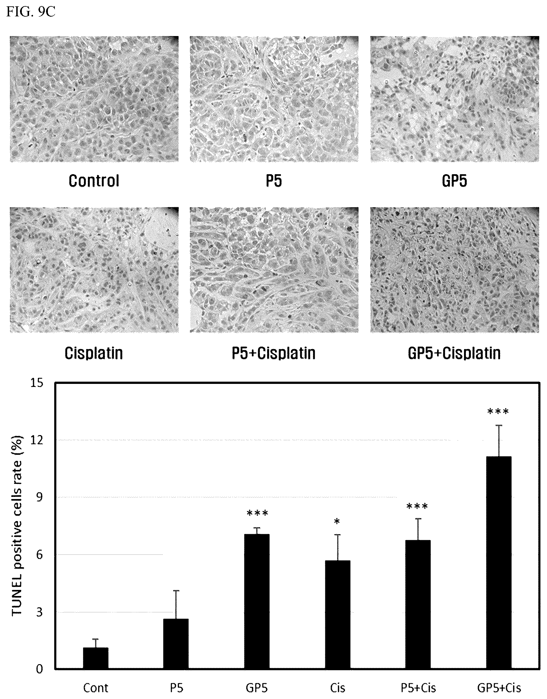 Patent US12319732 Figure 16 – Anti-beta 1 integrin humanized antibody, and pharmaceutical composition for treating cancer, comprising same