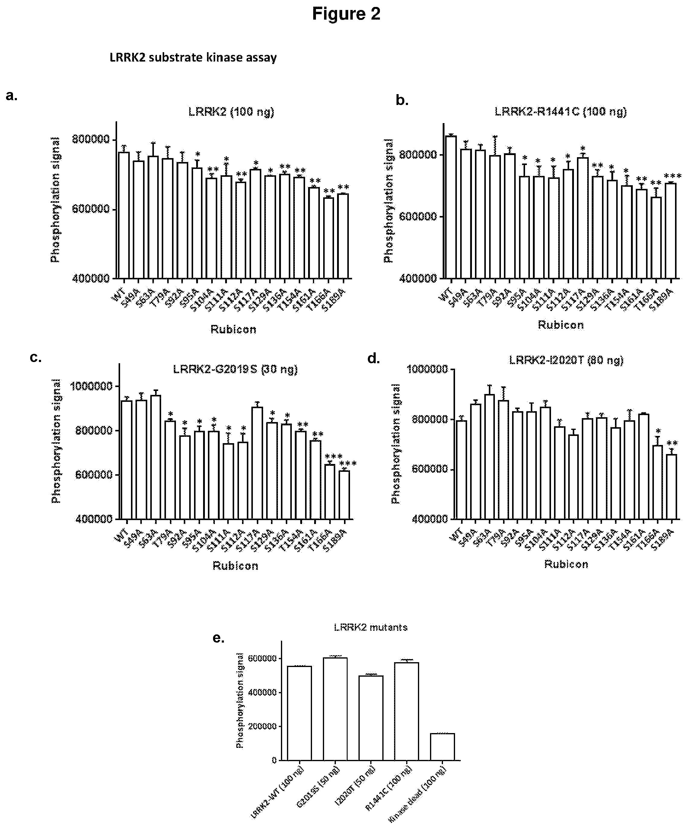 Patent US12319733 Figure 2 – THREONINE166 and SERINE189 of rubicon run domain as LRRK2 kinase inhibition target sites