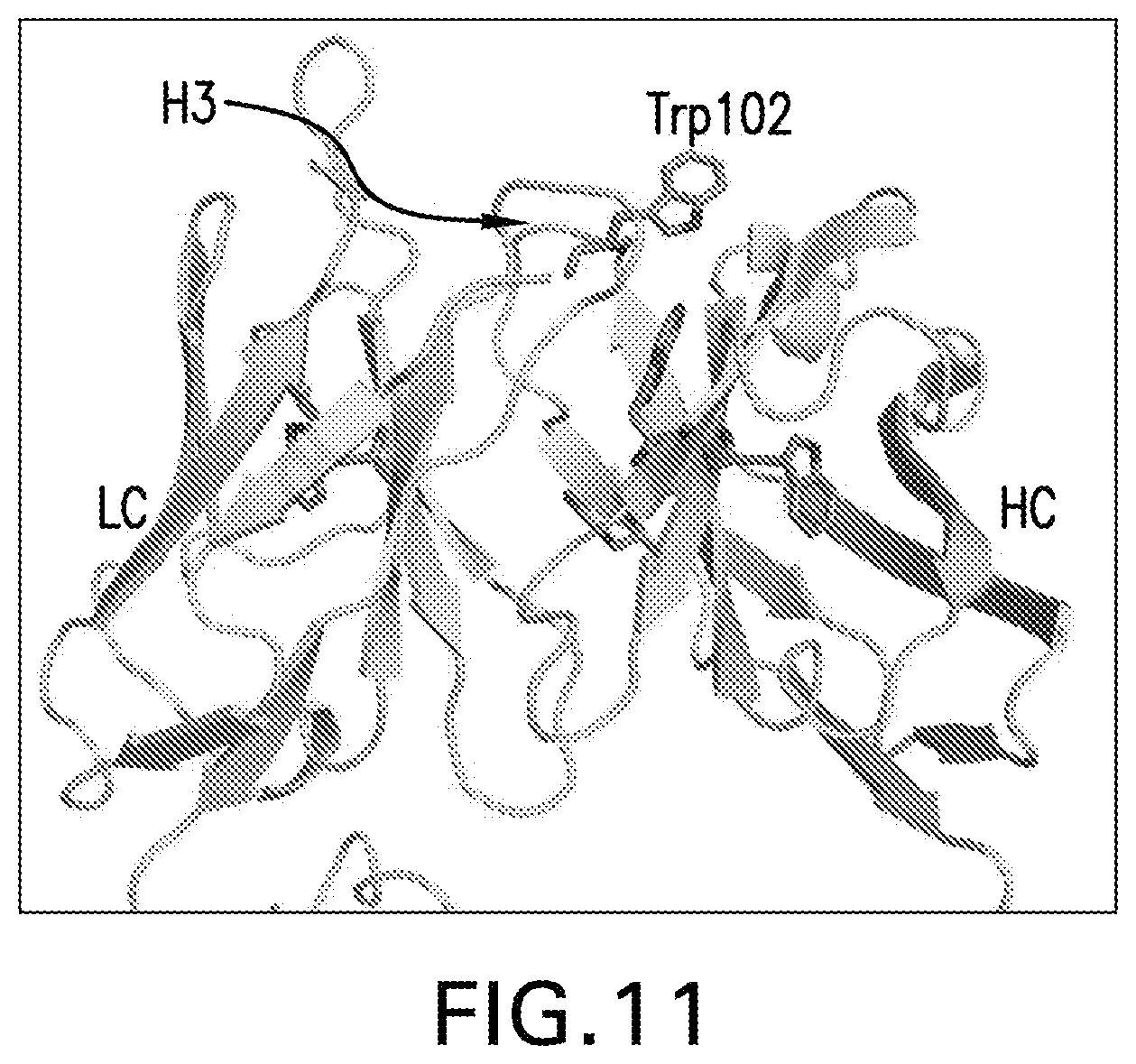 Patent US12319735 Figure 11 – Co-formulations of anti-LAG3 antibodies and anti-PD-1 antibodies