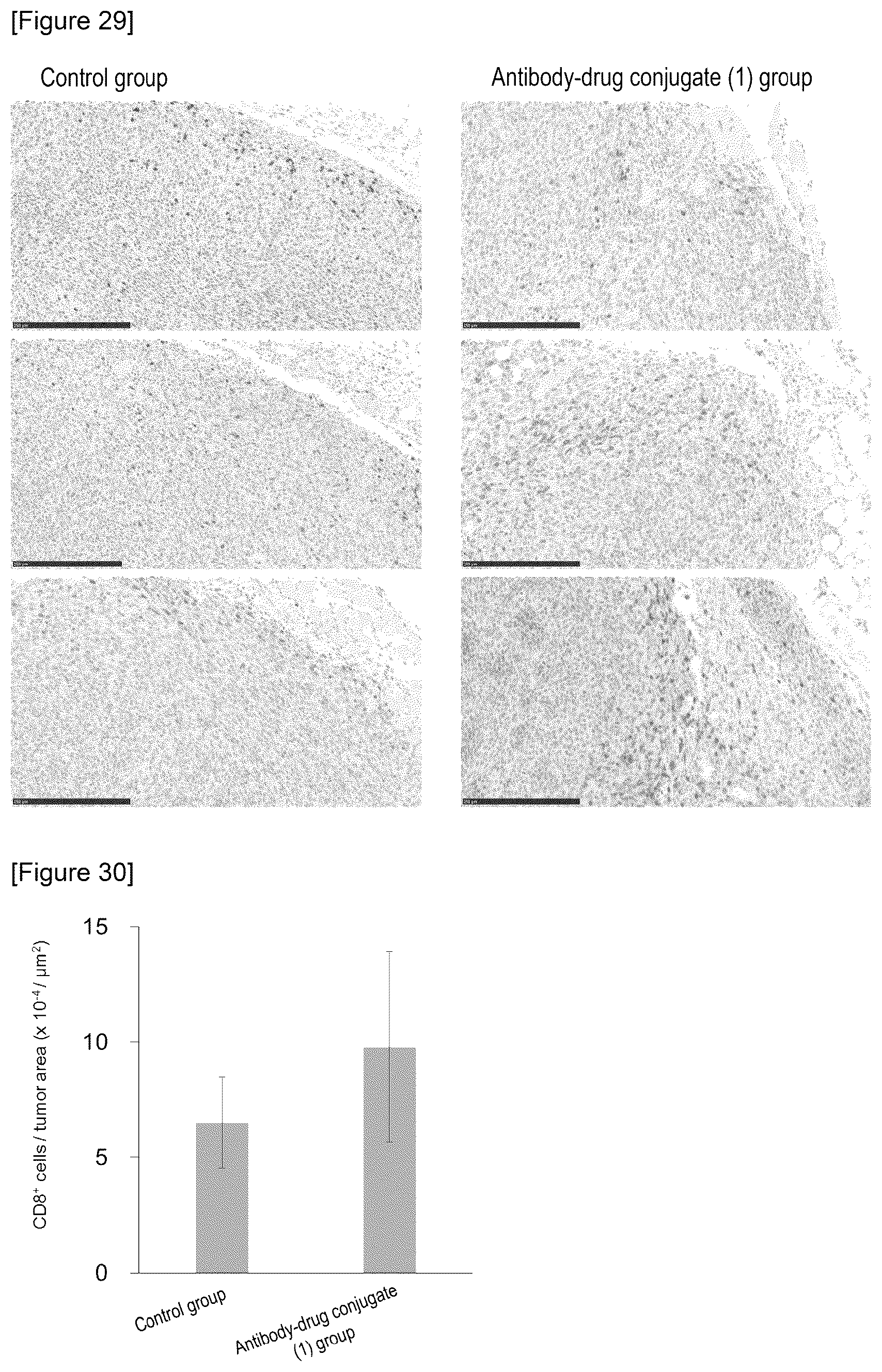 Patent US12319736 Figure 14 – Combination of antibody-drug conjugate and immune checkpoint inhibitor