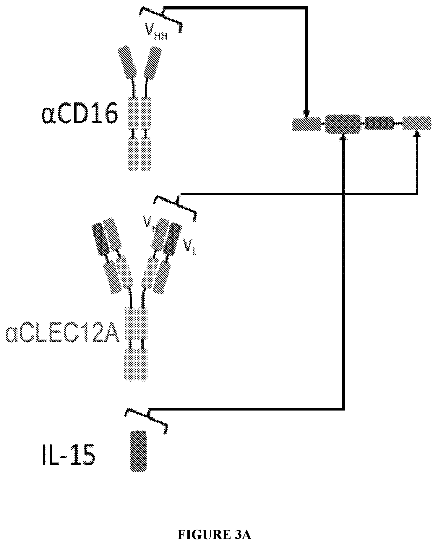 Patent US12319737 Figure 5 – NK engager molecules and methods of use thereof