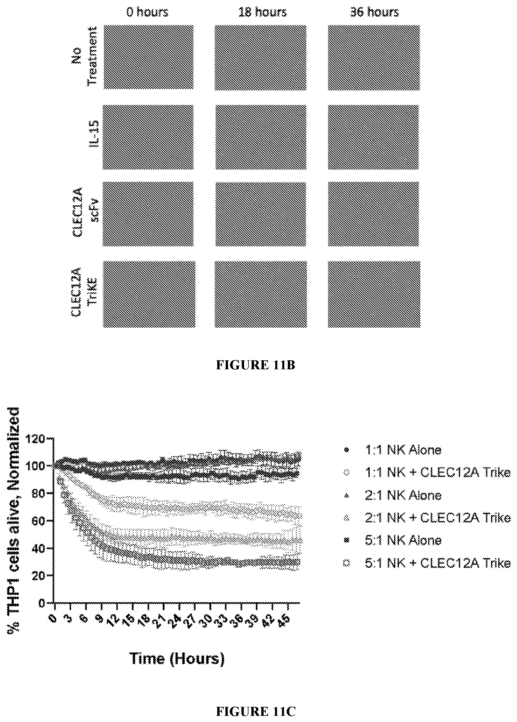 Patent US12319737 Figure 20 – NK engager molecules and methods of use thereof