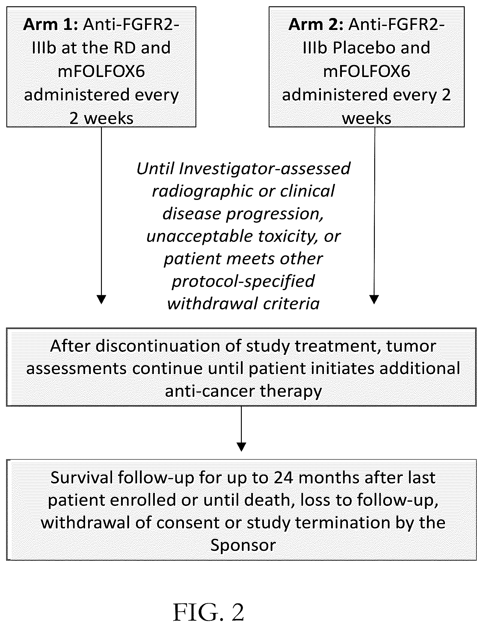 Patent US12319738 Figure 2 – Anti-FGFR2 antibodies in combination with chemotherapy agents in gastric cancer