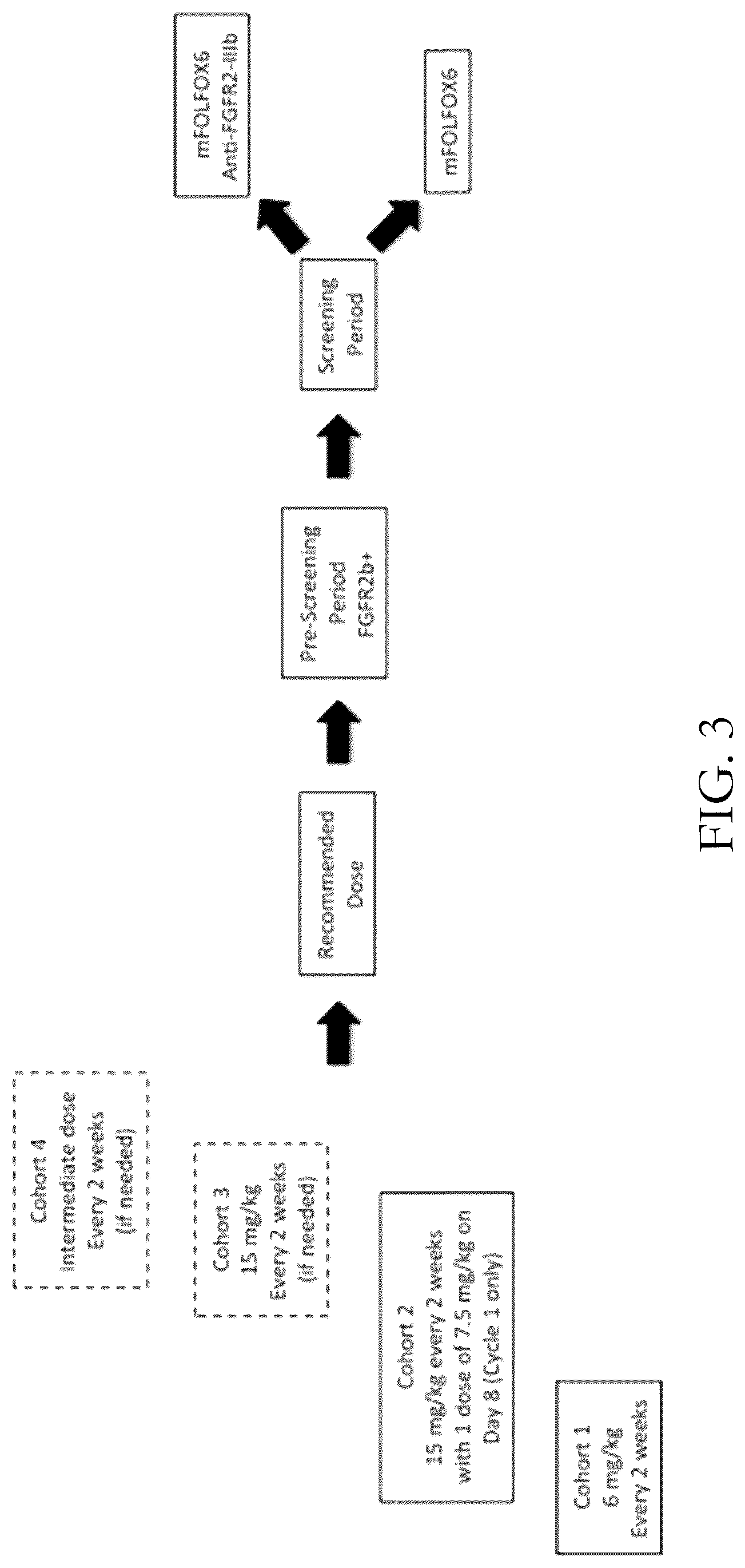 Patent US12319738 Figure 3 – Anti-FGFR2 antibodies in combination with chemotherapy agents in gastric cancer