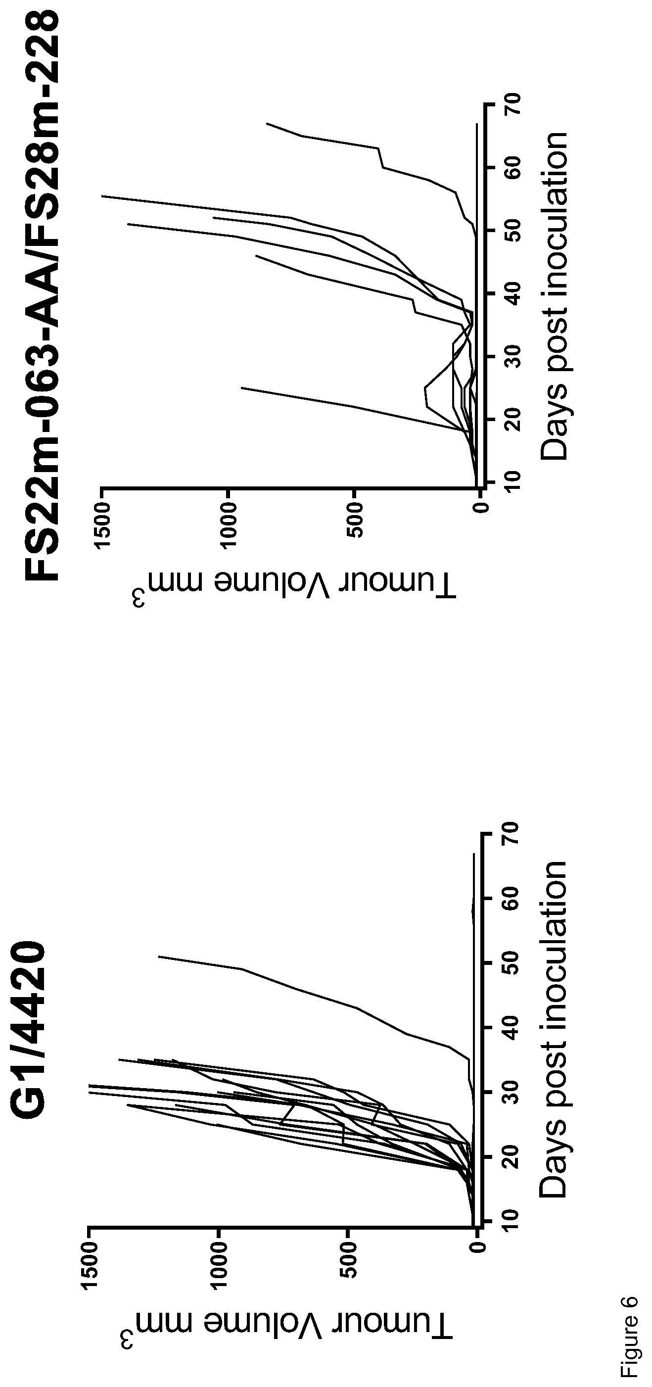 Patent US12319739 Figure 7 – Mesothelin and CD137 binding molecules