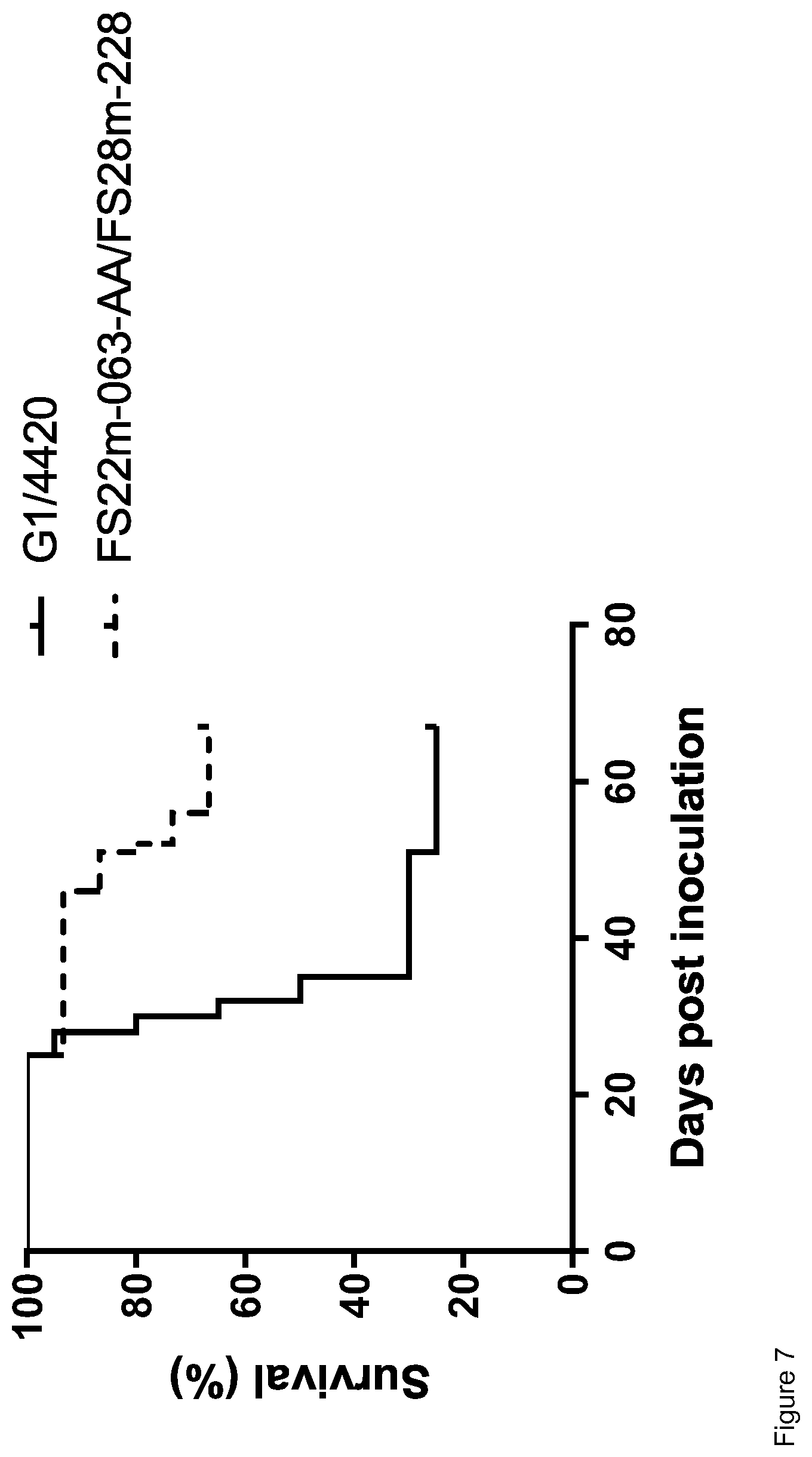 Patent US12319739 Figure 8 – Mesothelin and CD137 binding molecules
