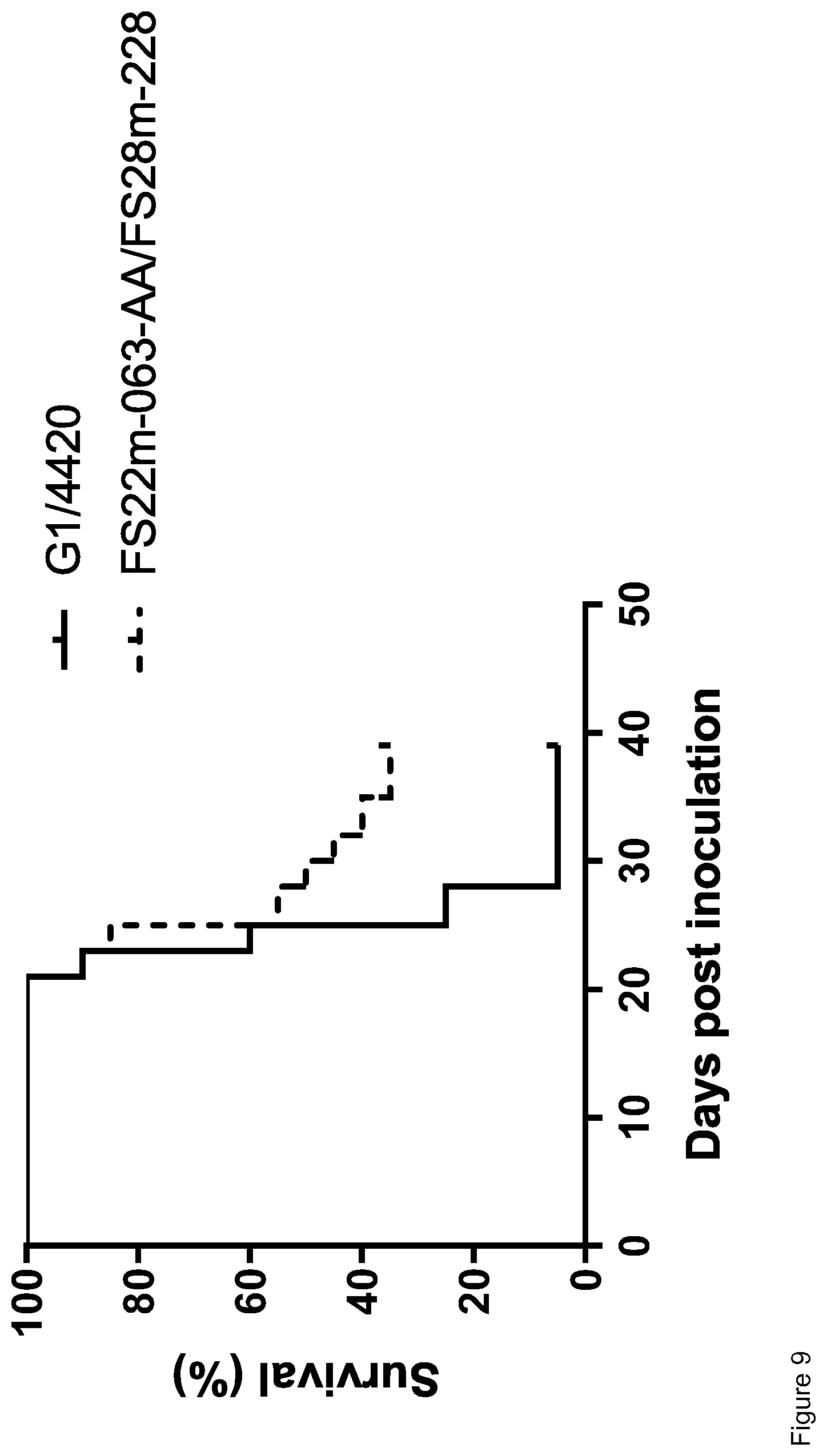 Patent US12319739 Figure 10 – Mesothelin and CD137 binding molecules