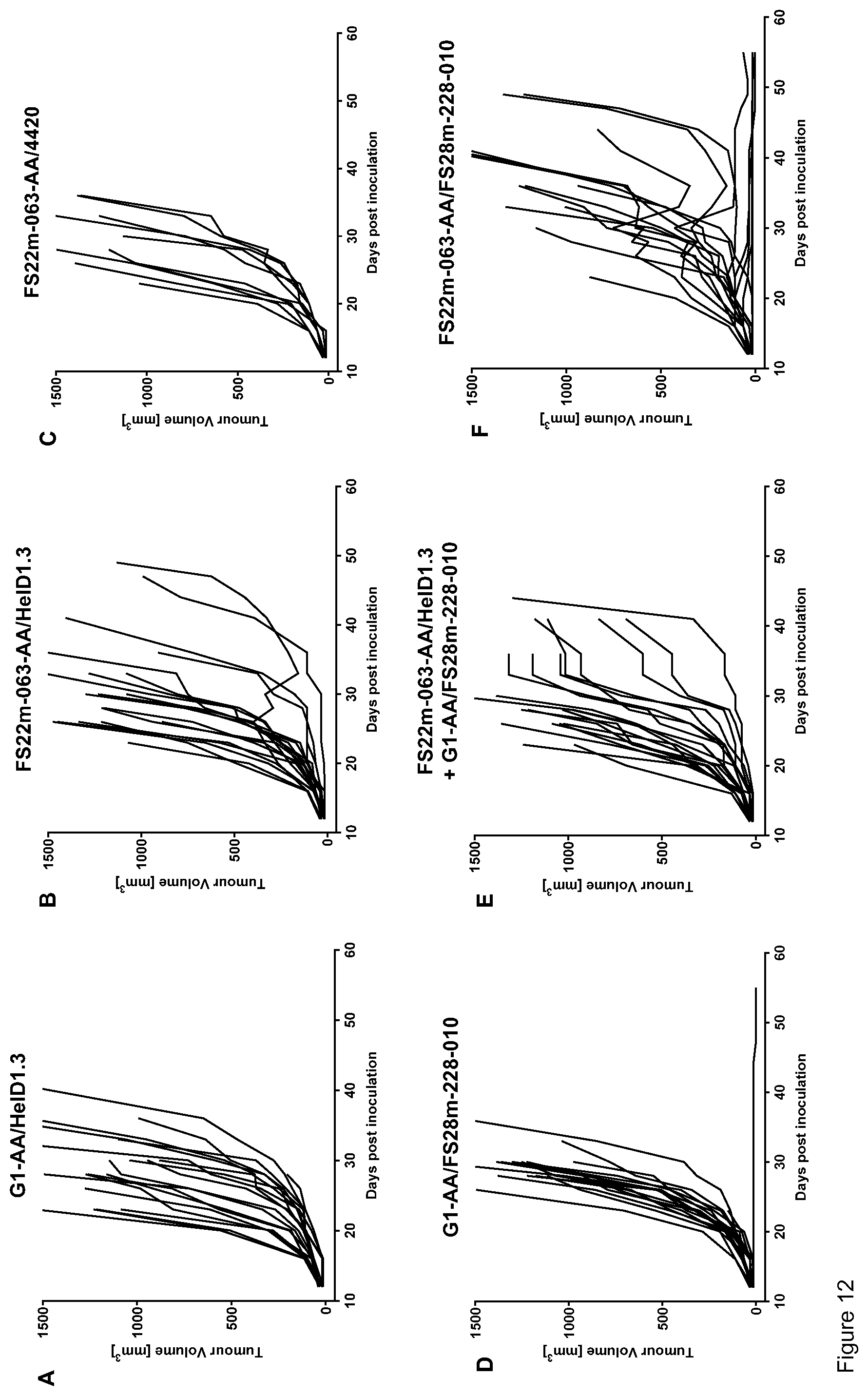 Patent US12319739 Figure 13 – Mesothelin and CD137 binding molecules