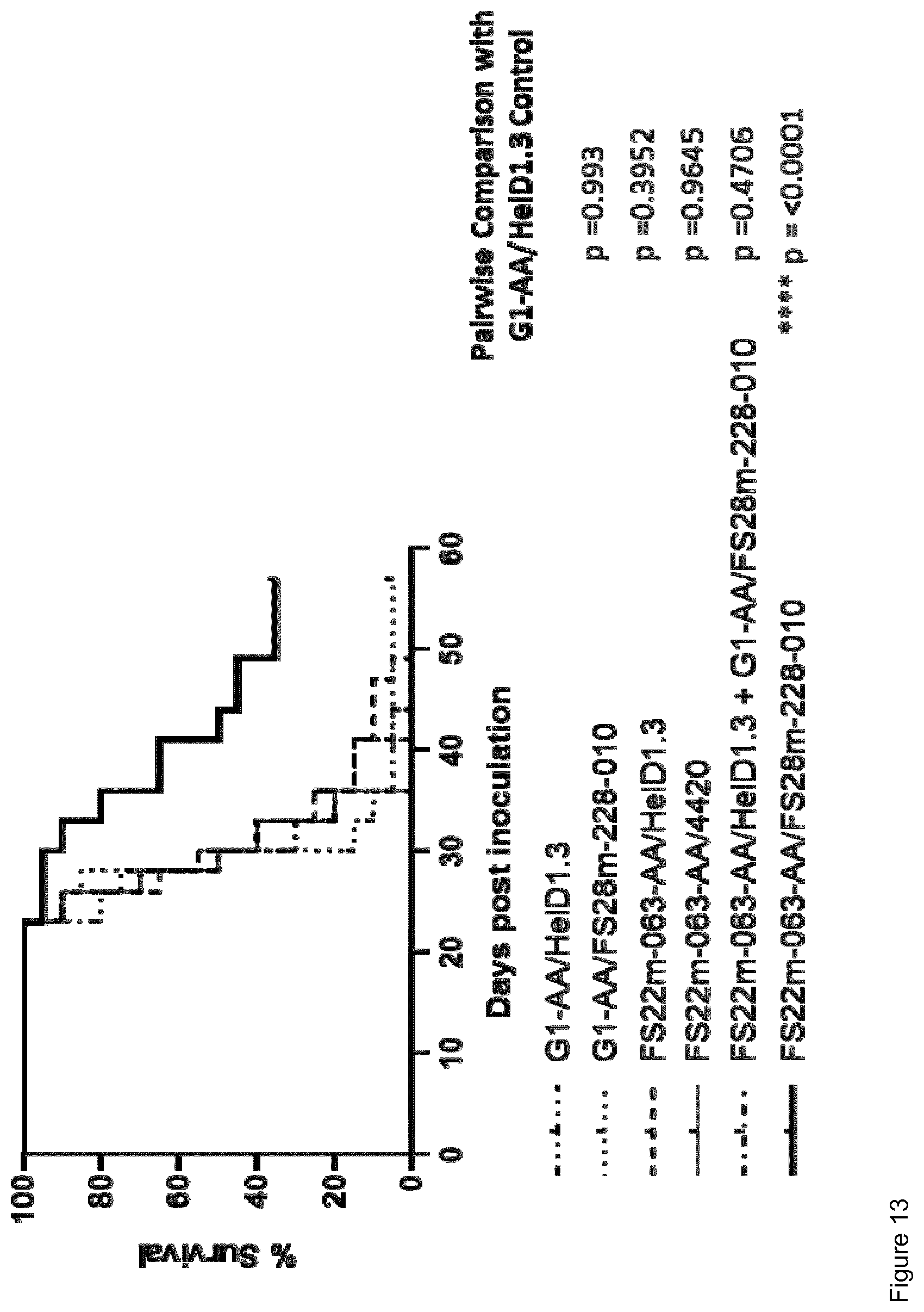 Patent US12319739 Figure 14 – Mesothelin and CD137 binding molecules