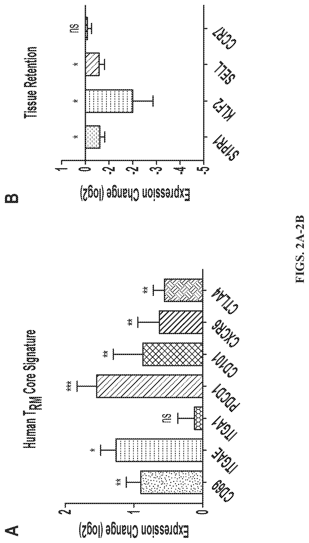Patent US12319740 Figure 2 – Methods for production of tissue resident memory-like T cells and use thereof
