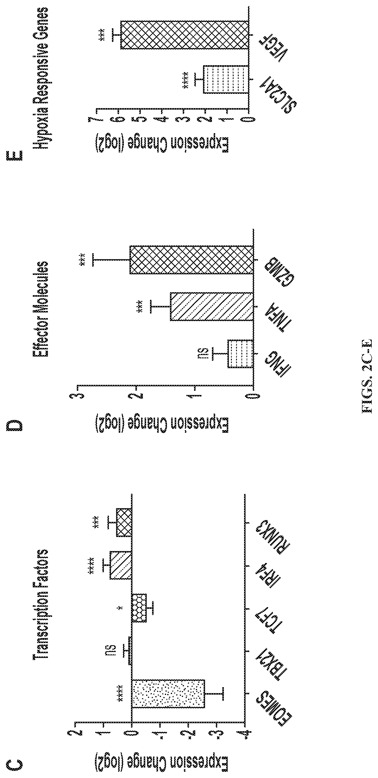 Patent US12319740 Figure 3 – Methods for production of tissue resident memory-like T cells and use thereof