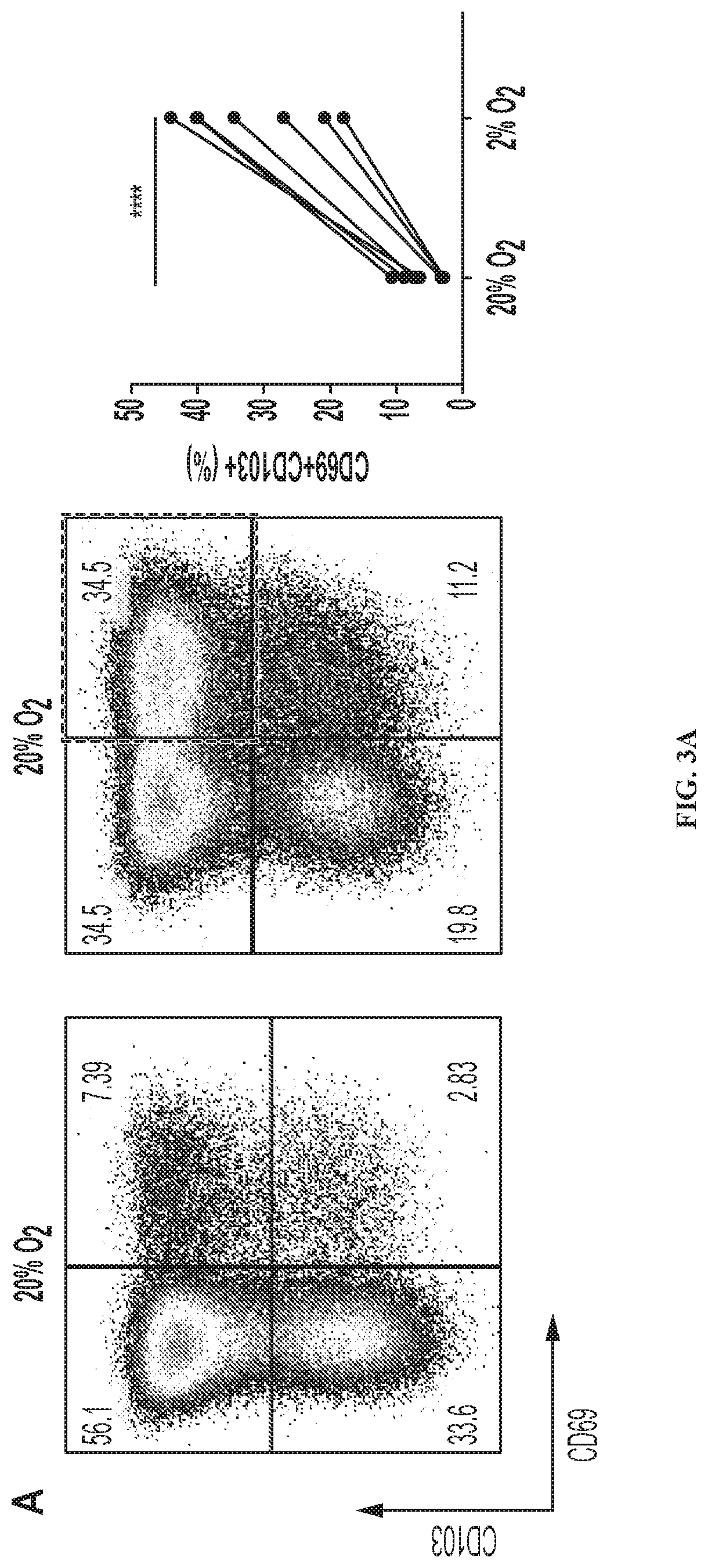 Patent US12319740 Figure 4 – Methods for production of tissue resident memory-like T cells and use thereof
