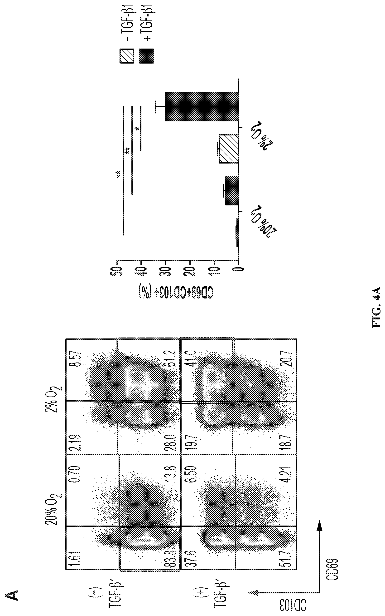 Patent US12319740 Figure 7 – Methods for production of tissue resident memory-like T cells and use thereof