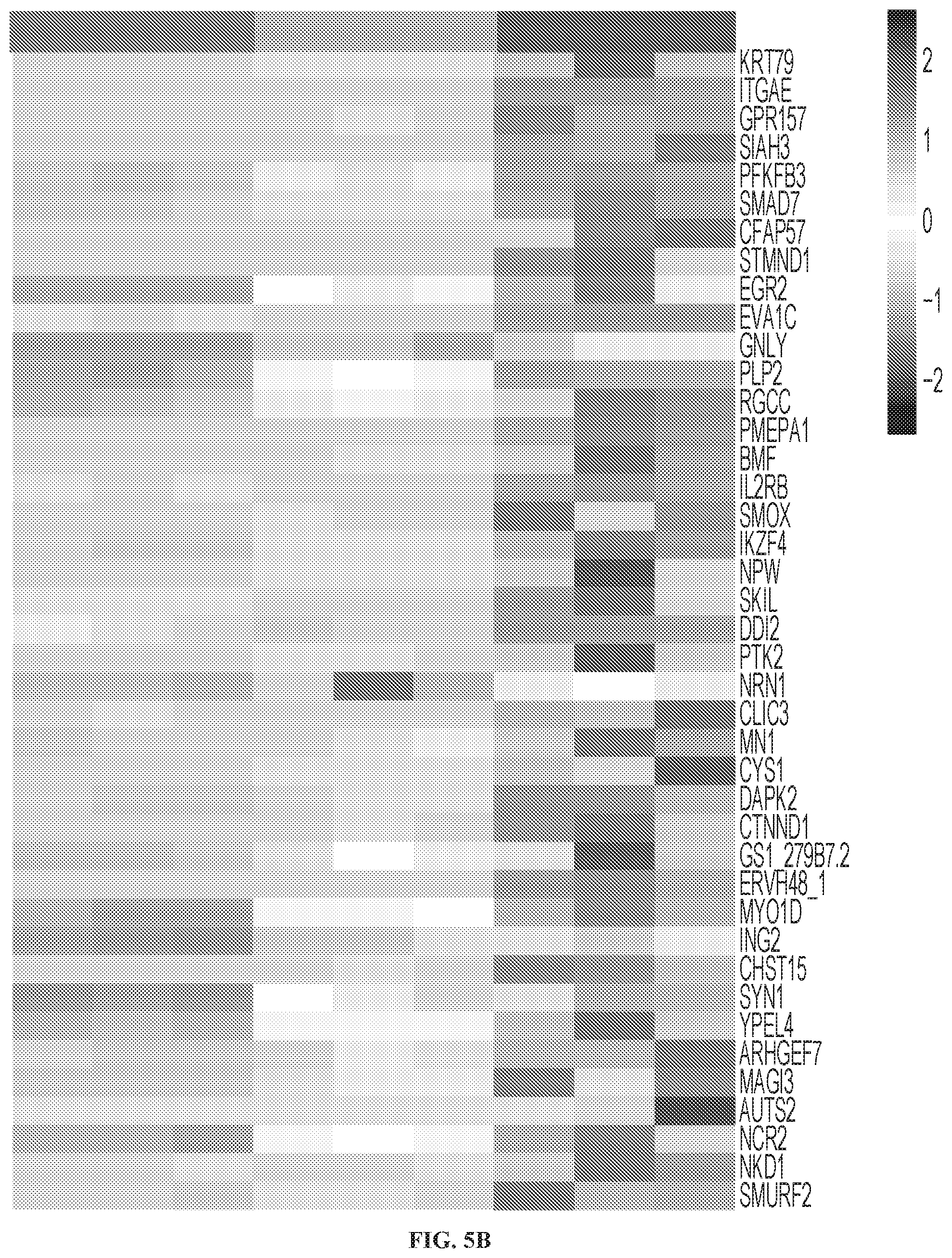 Patent US12319740 Figure 10 – Methods for production of tissue resident memory-like T cells and use thereof