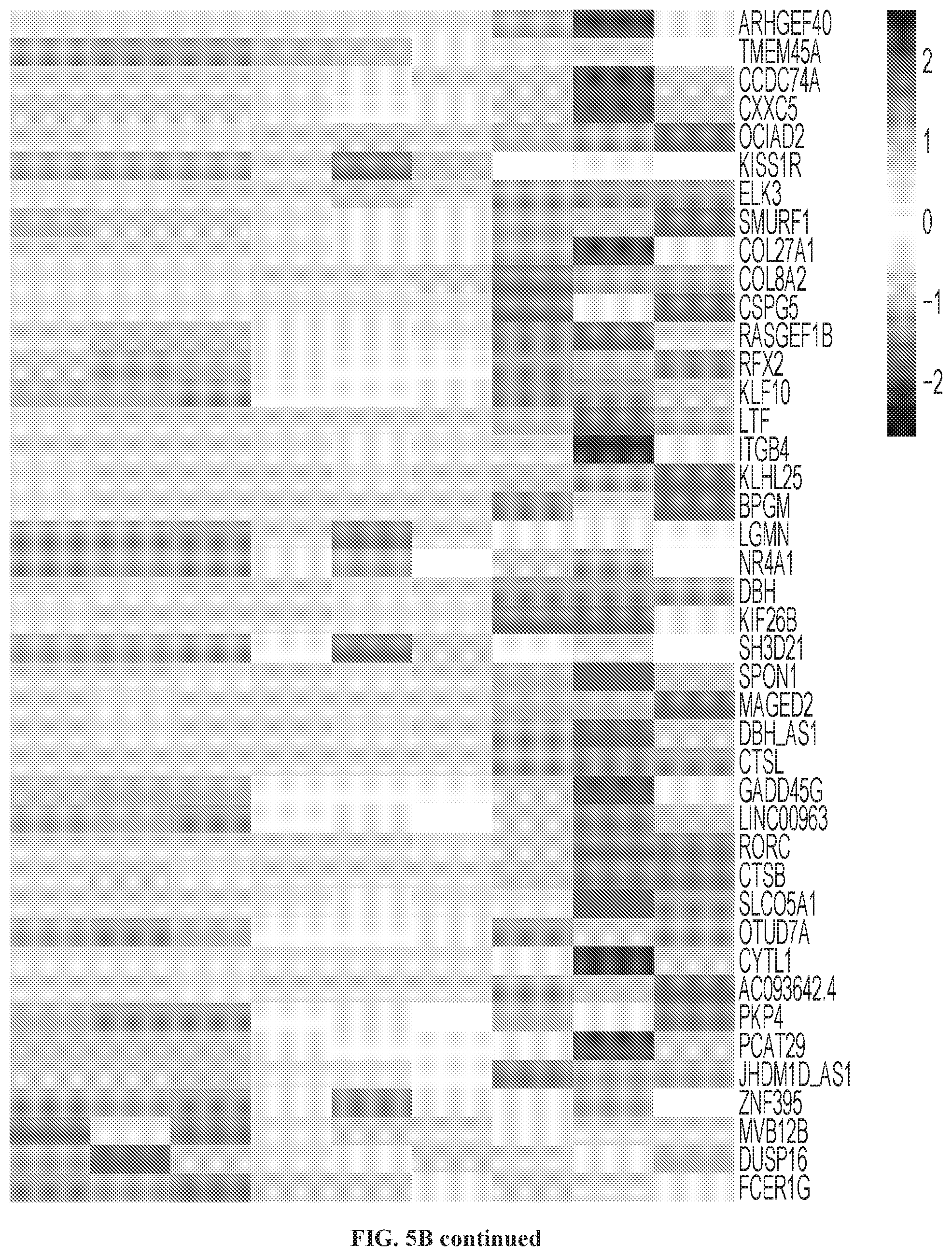 Patent US12319740 Figure 11 – Methods for production of tissue resident memory-like T cells and use thereof
