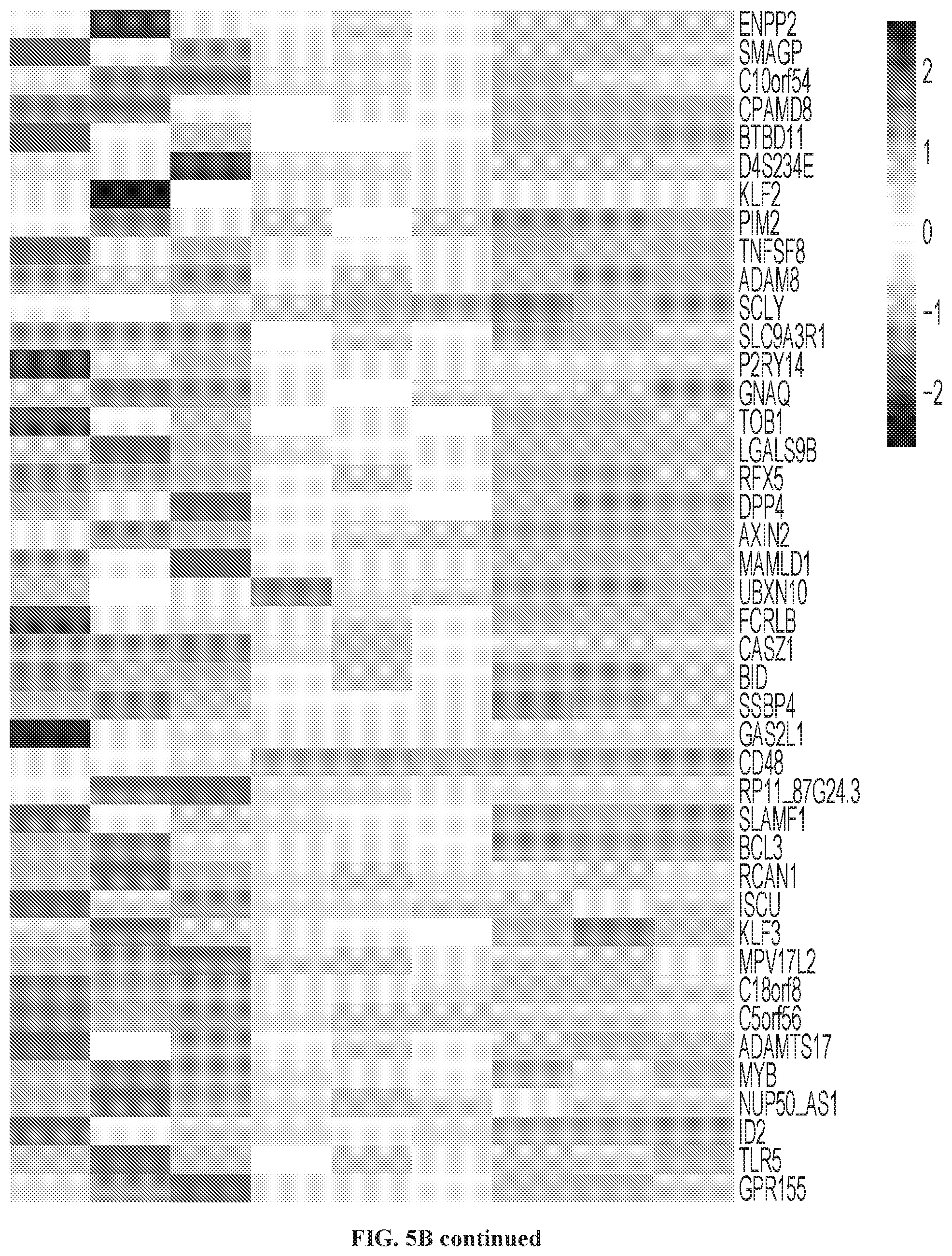Patent US12319740 Figure 12 – Methods for production of tissue resident memory-like T cells and use thereof