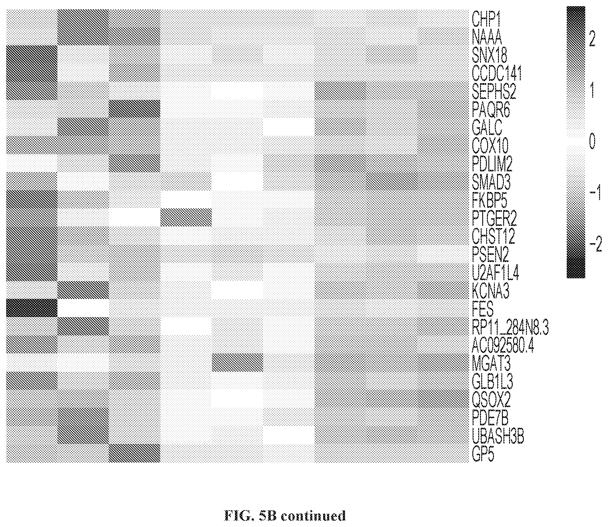 Patent US12319740 Figure 13 – Methods for production of tissue resident memory-like T cells and use thereof