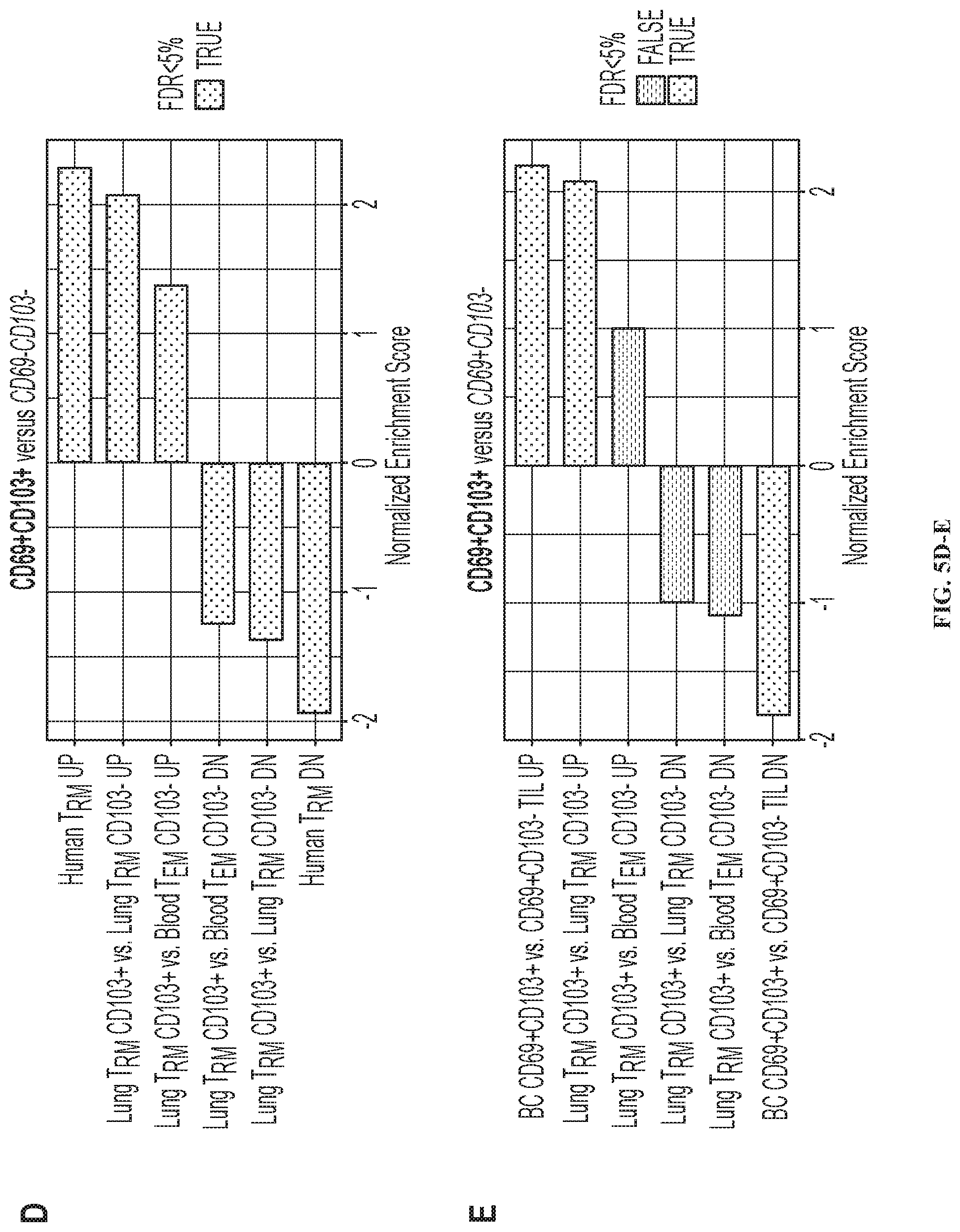 Patent US12319740 Figure 15 – Methods for production of tissue resident memory-like T cells and use thereof