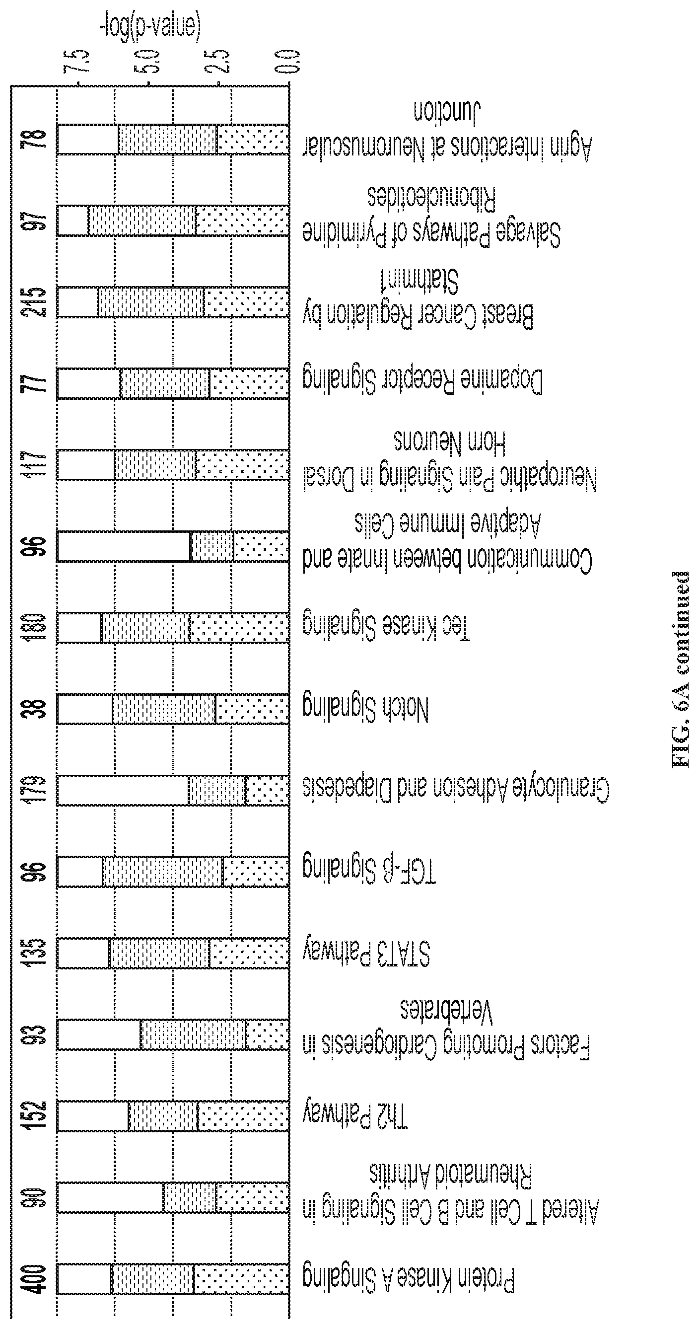 Patent US12319740 Figure 18 – Methods for production of tissue resident memory-like T cells and use thereof