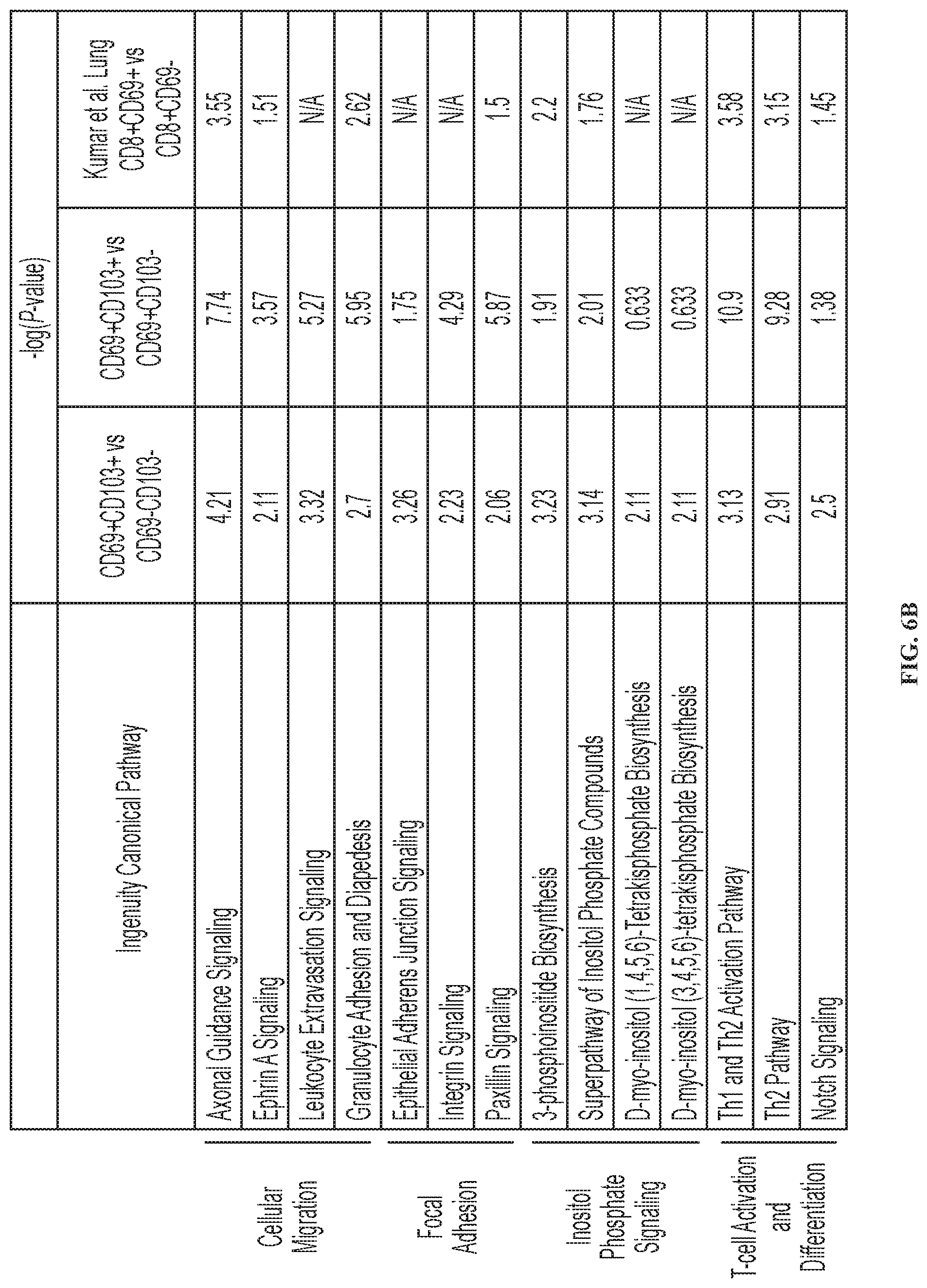 Patent US12319740 Figure 19 – Methods for production of tissue resident memory-like T cells and use thereof