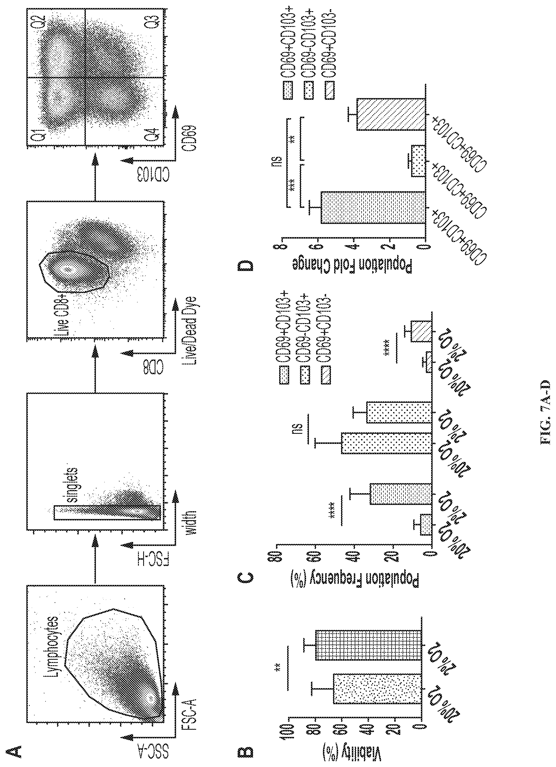 Patent US12319740 Figure 20 – Methods for production of tissue resident memory-like T cells and use thereof