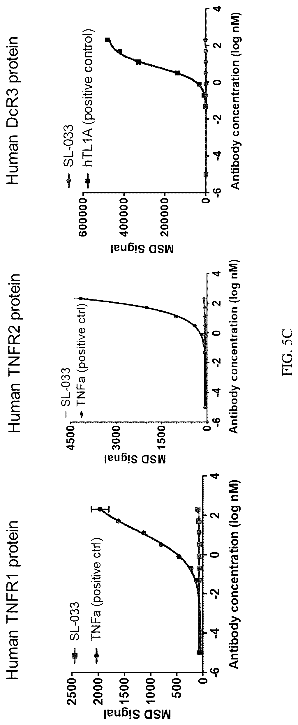 Patent US12319742 Figure 10 – Antibodies that bind TNFRSF25