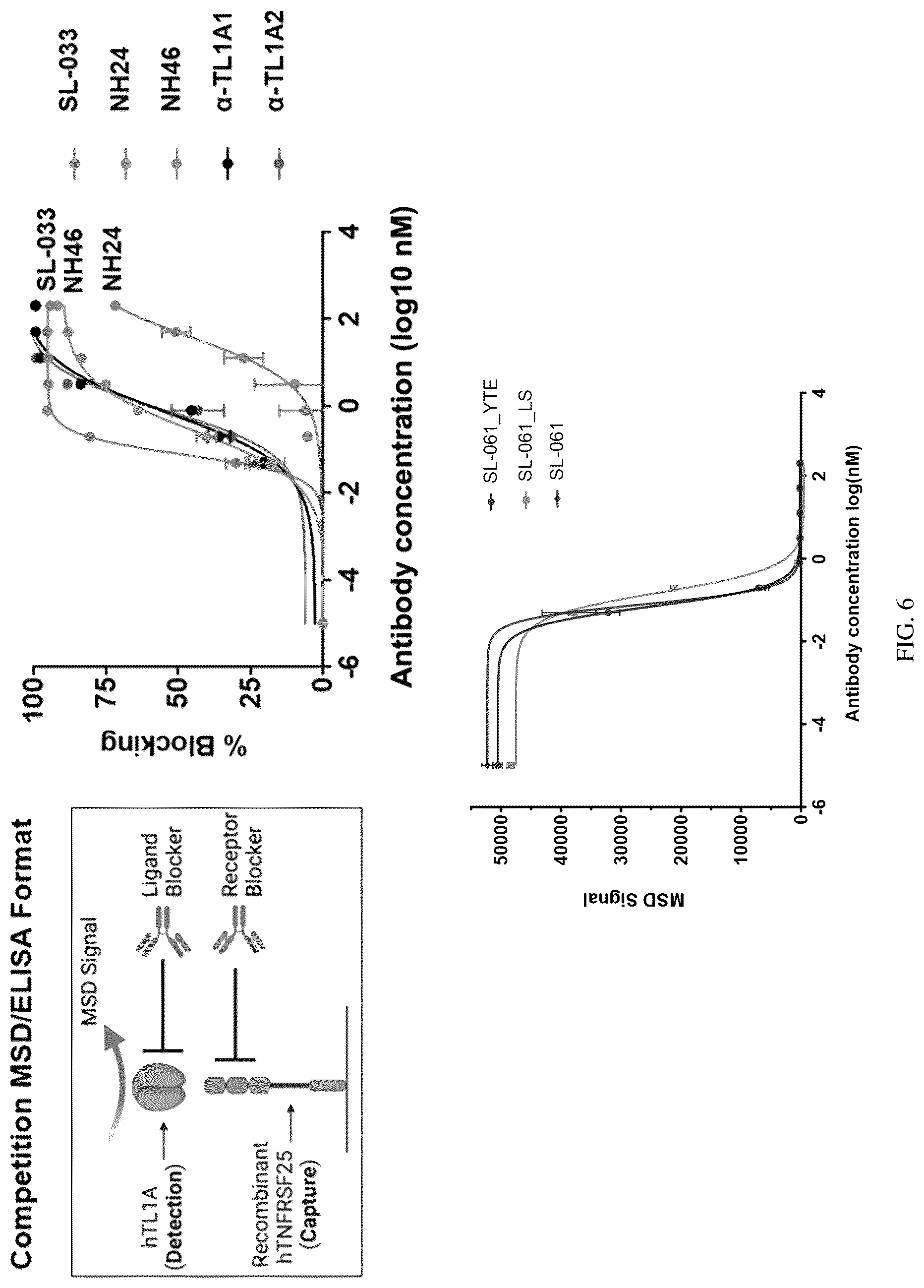 Patent US12319742 Figure 12 – Antibodies that bind TNFRSF25