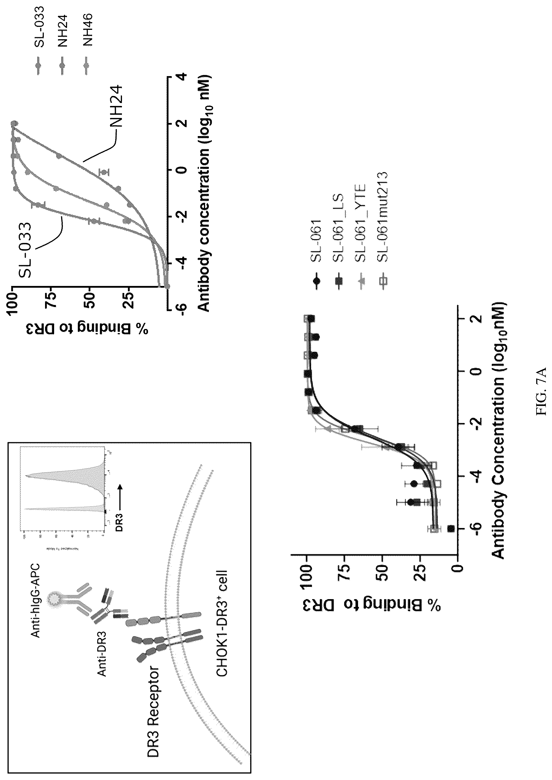 Patent US12319742 Figure 13 – Antibodies that bind TNFRSF25