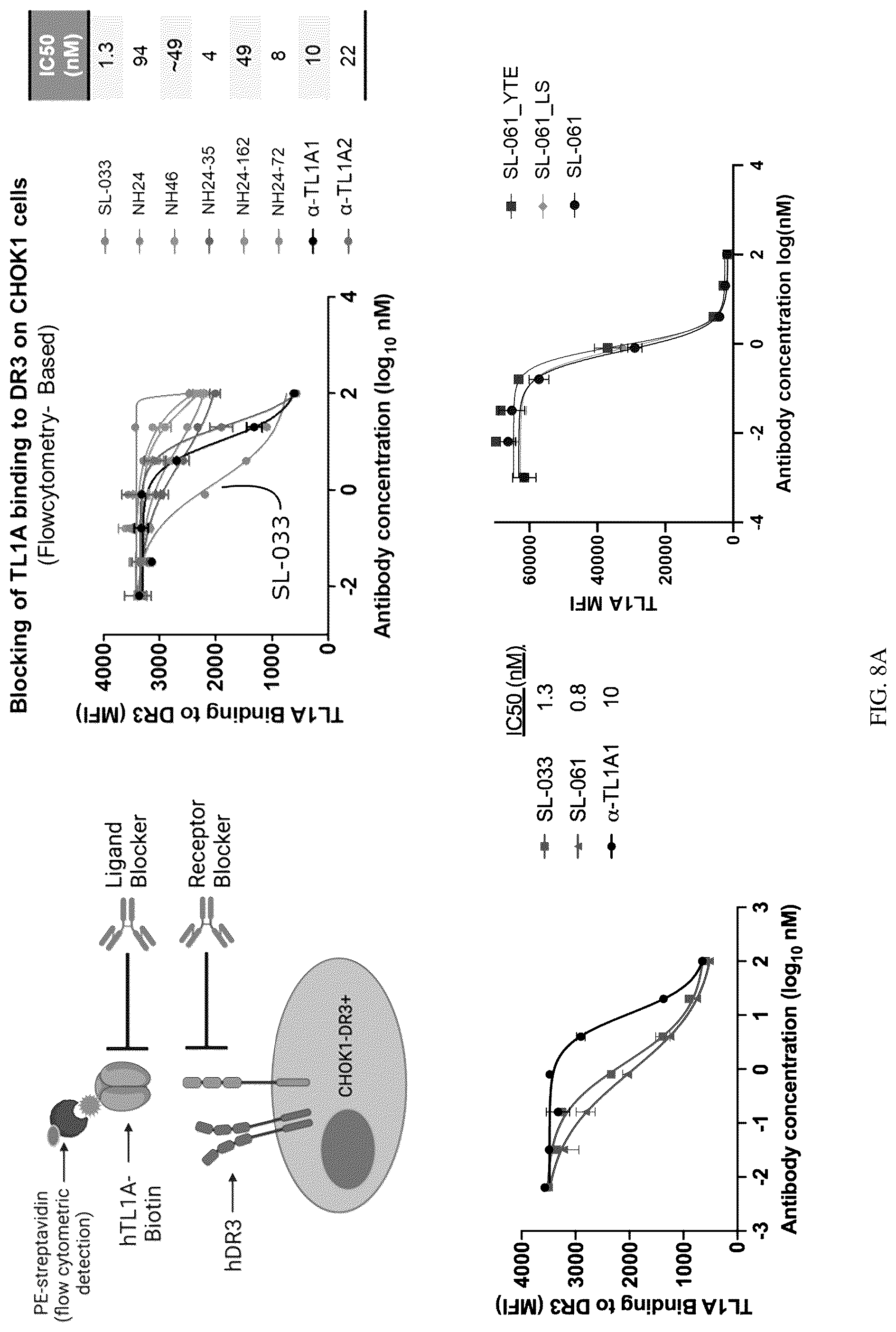 Patent US12319742 Figure 16 – Antibodies that bind TNFRSF25