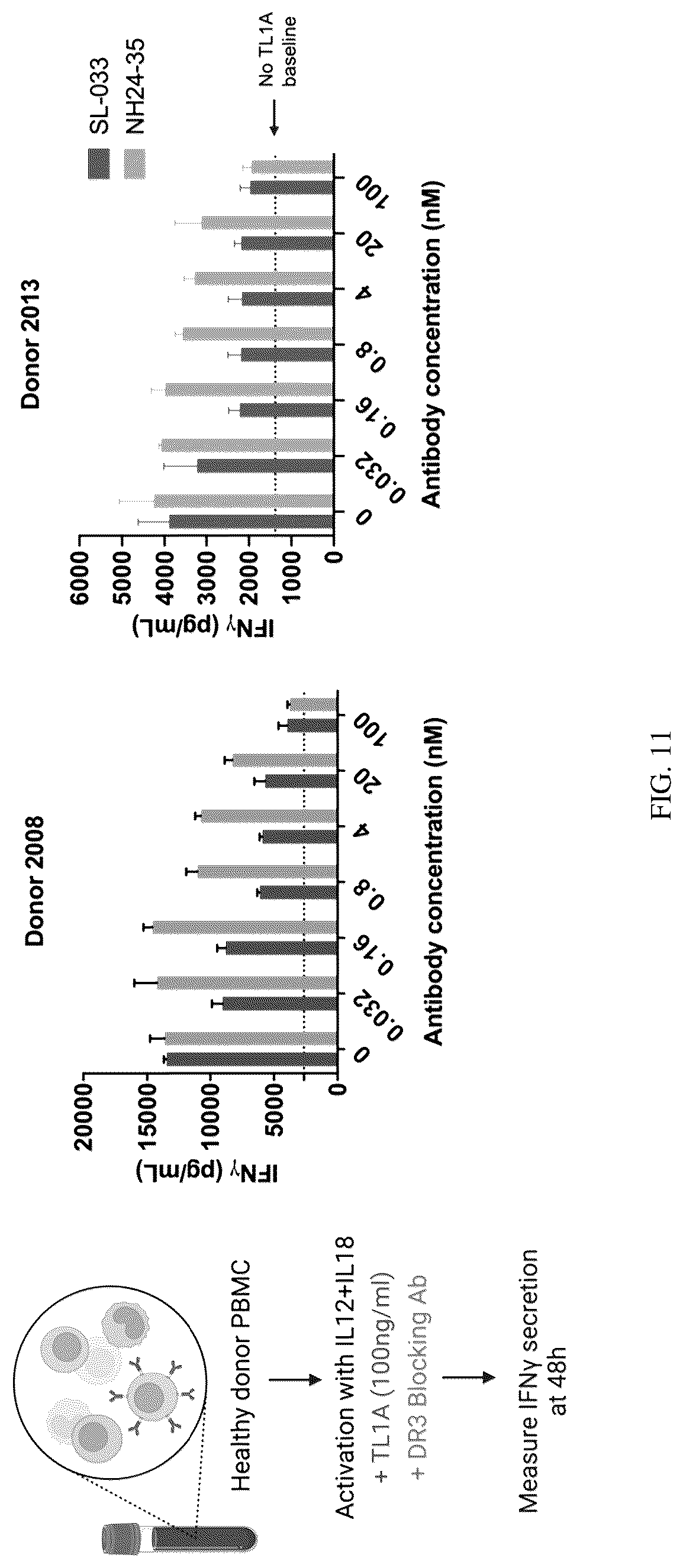 Patent US12319742 Figure 20 – Antibodies that bind TNFRSF25