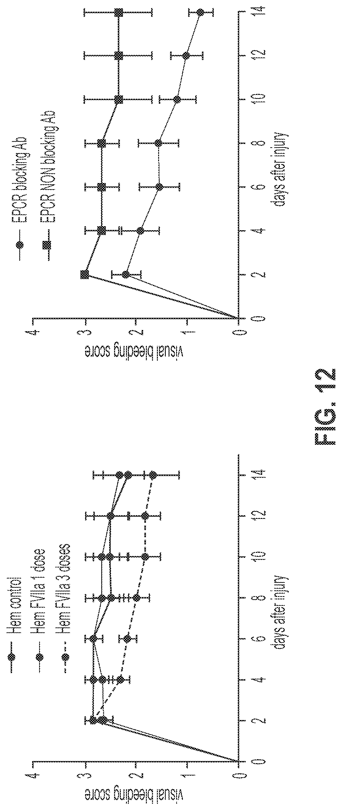 Patent US12319744 Figure 12 – Treatment and prevention of hemophilic arthropathy with an antibody against endothelial cell protein C receptor (EPCR)
