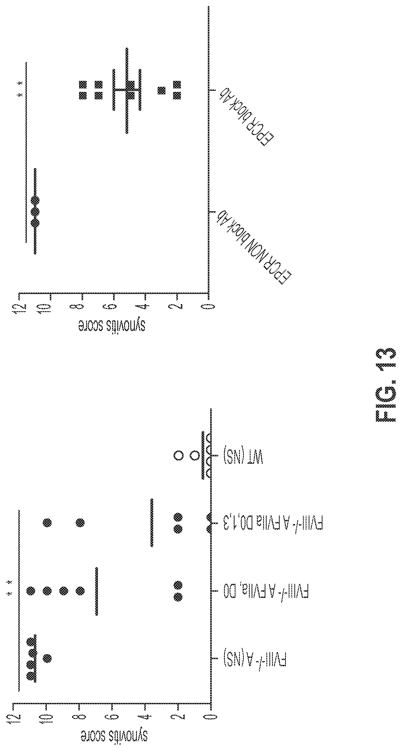 Patent US12319744 Figure 13 – Treatment and prevention of hemophilic arthropathy with an antibody against endothelial cell protein C receptor (EPCR)