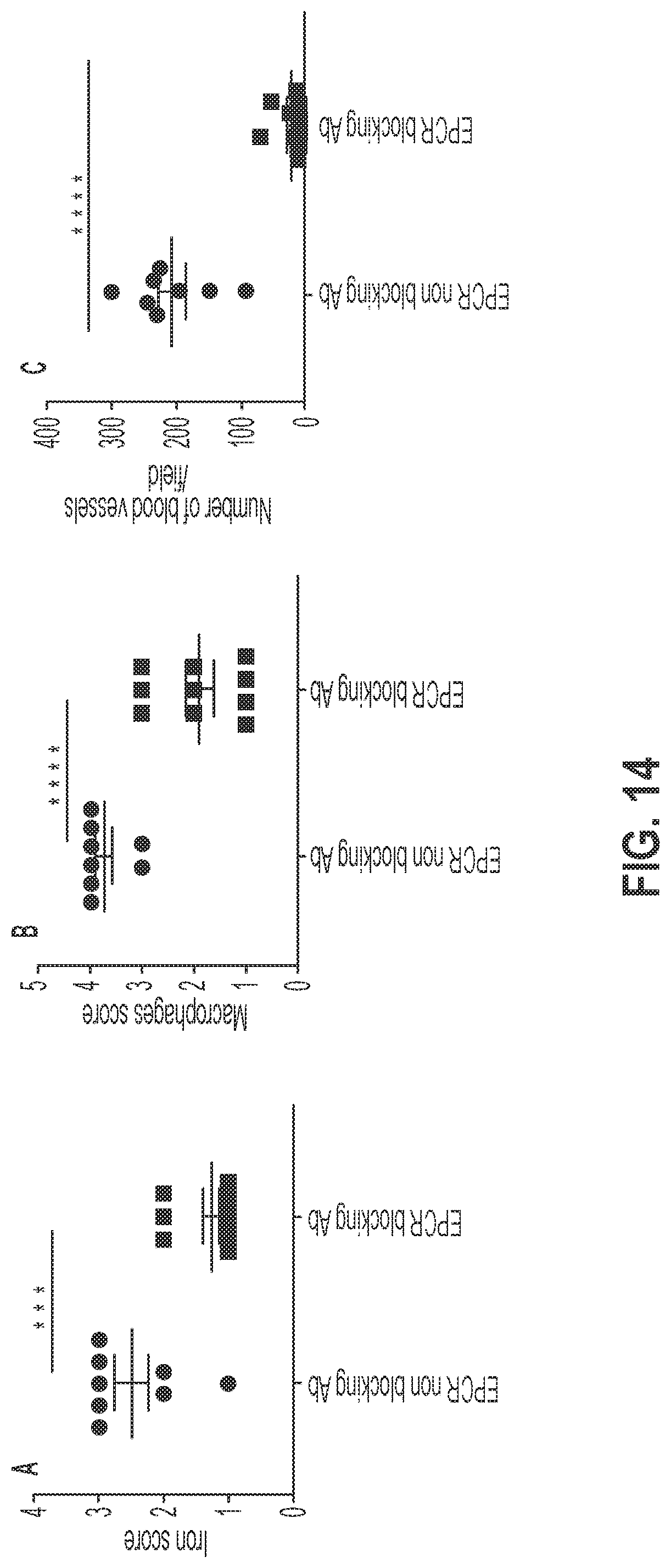 Patent US12319744 Figure 14 – Treatment and prevention of hemophilic arthropathy with an antibody against endothelial cell protein C receptor (EPCR)