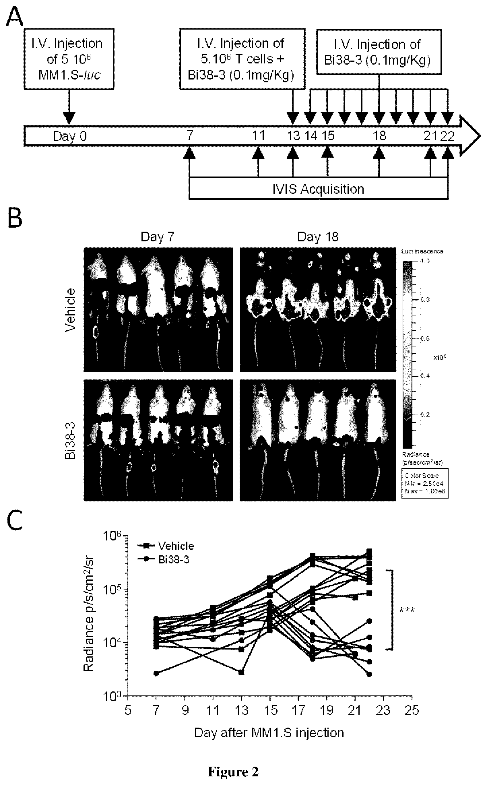 Patent US12319745 Figure 2 – Antibodies having specificity for CD38 and uses thereof