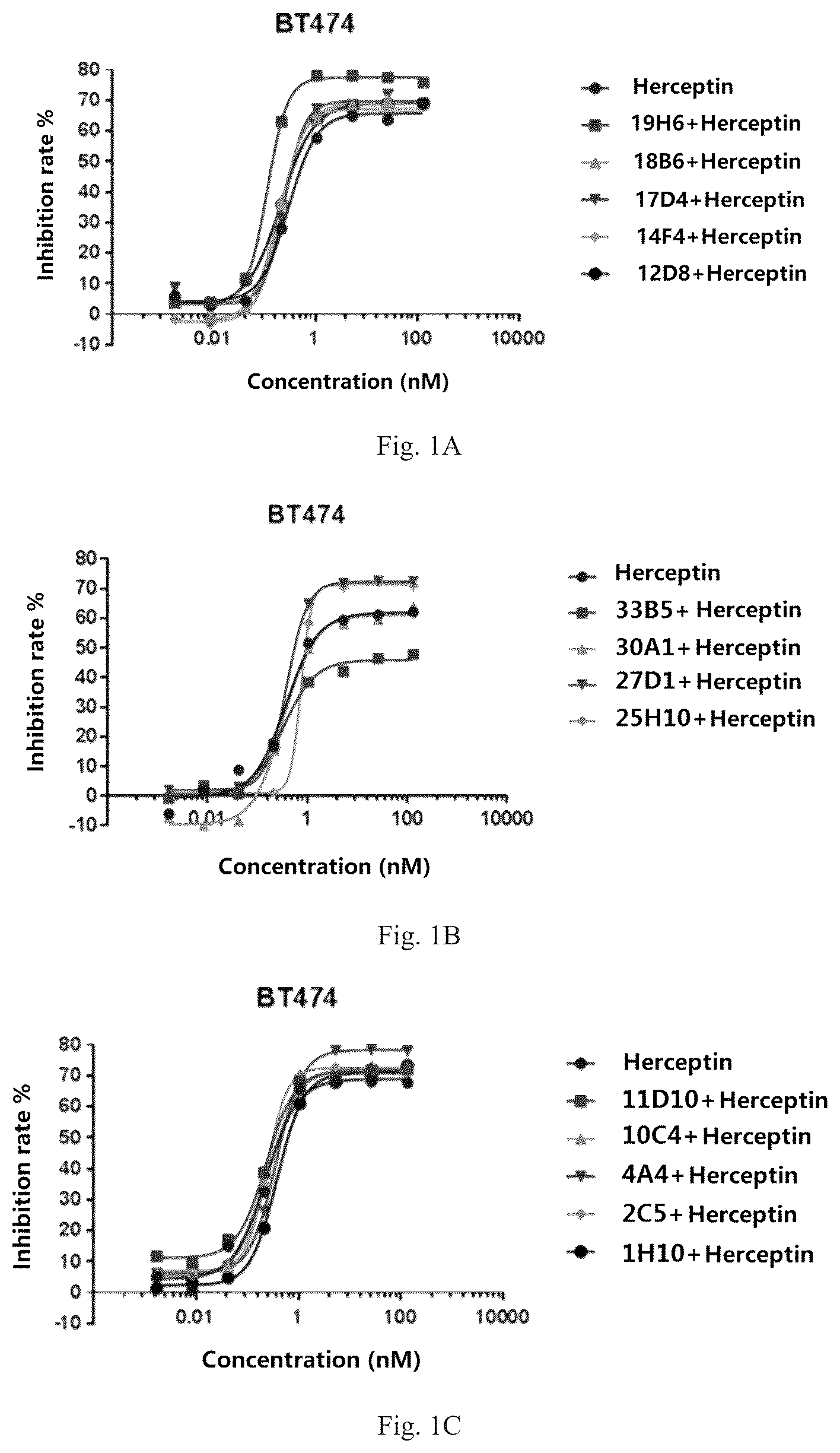 Patent US12319748 Figure 1 – Antibody binding to human HER2 and preparation method and use thereof