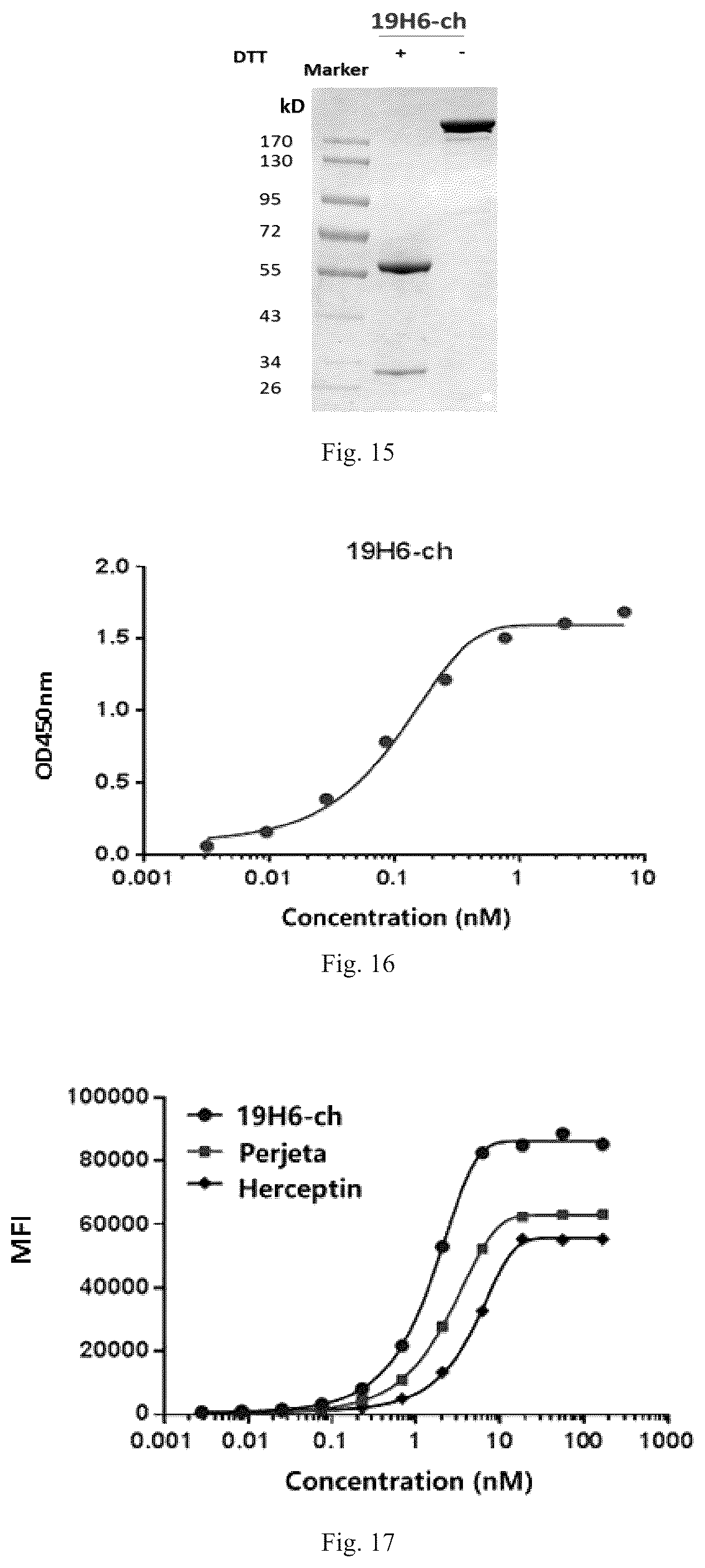 Patent US12319748 Figure 8 – Antibody binding to human HER2 and preparation method and use thereof