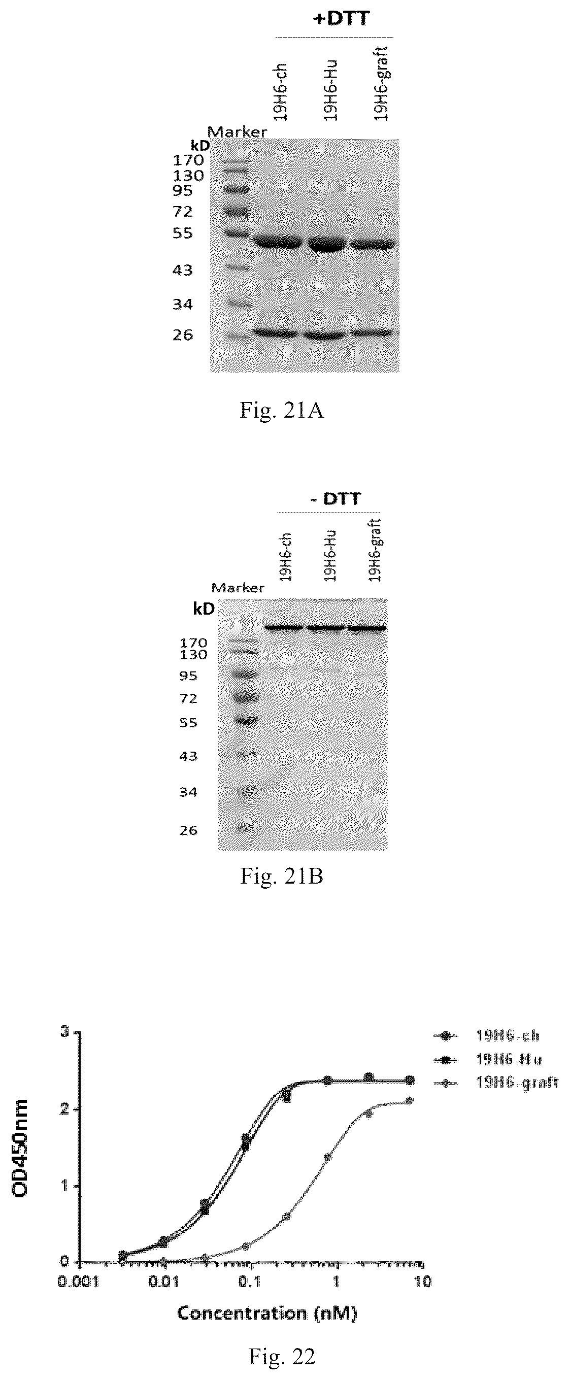 Patent US12319748 Figure 10 – Antibody binding to human HER2 and preparation method and use thereof