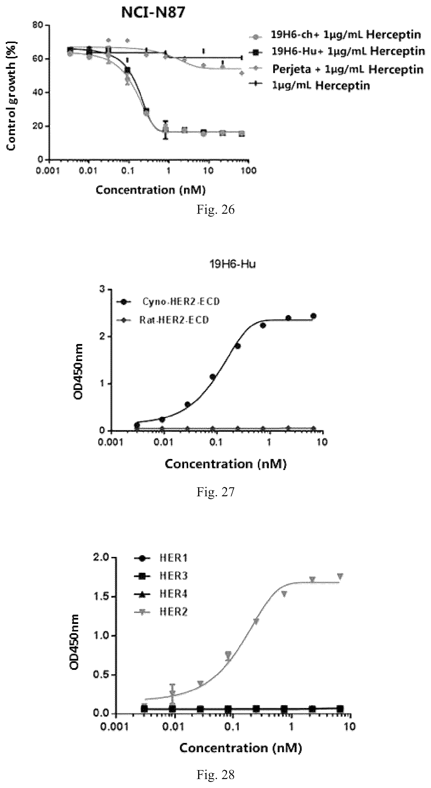 Patent US12319748 Figure 12 – Antibody binding to human HER2 and preparation method and use thereof