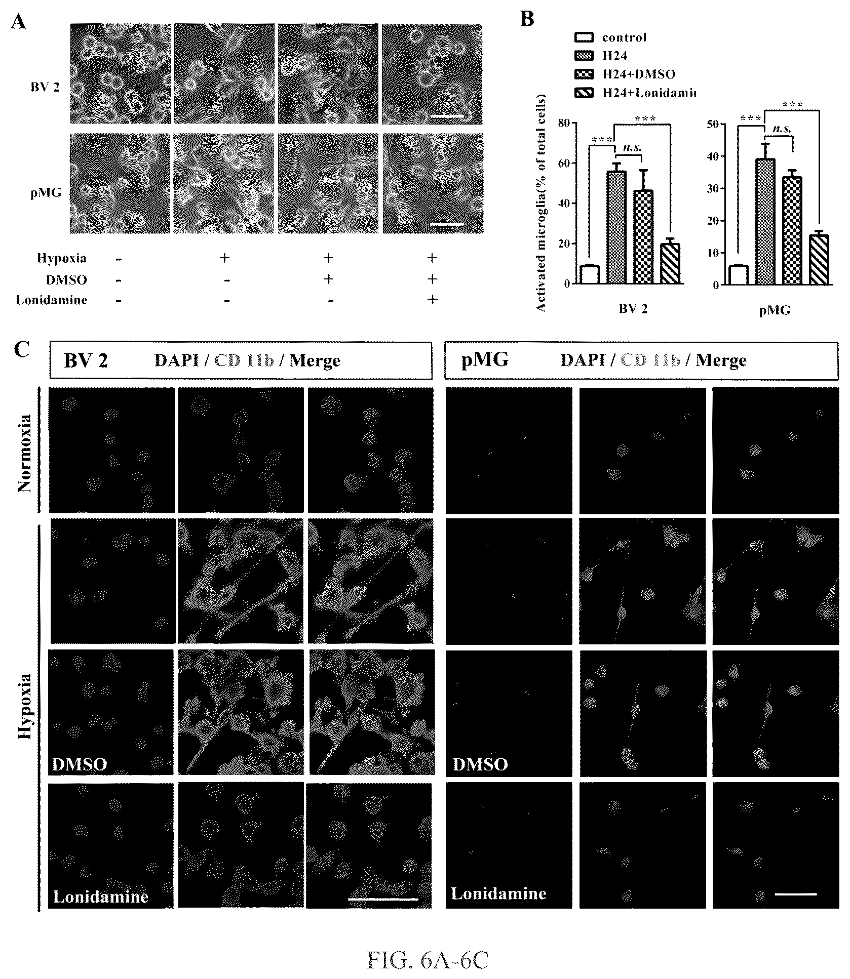 Patent US12319750 Figure 6 – Hexokinase 2-specific inhibitors for use in acute central nervous system injury