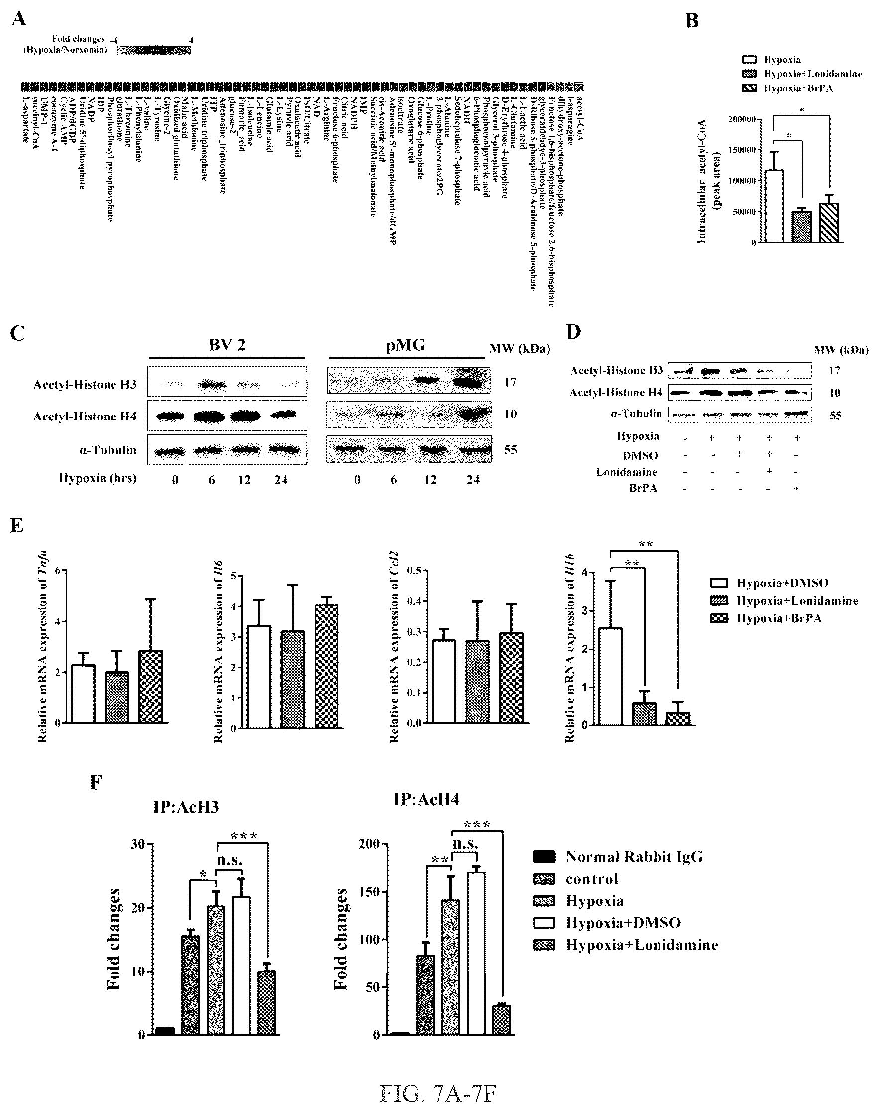 Patent US12319750 Figure 7 – Hexokinase 2-specific inhibitors for use in acute central nervous system injury