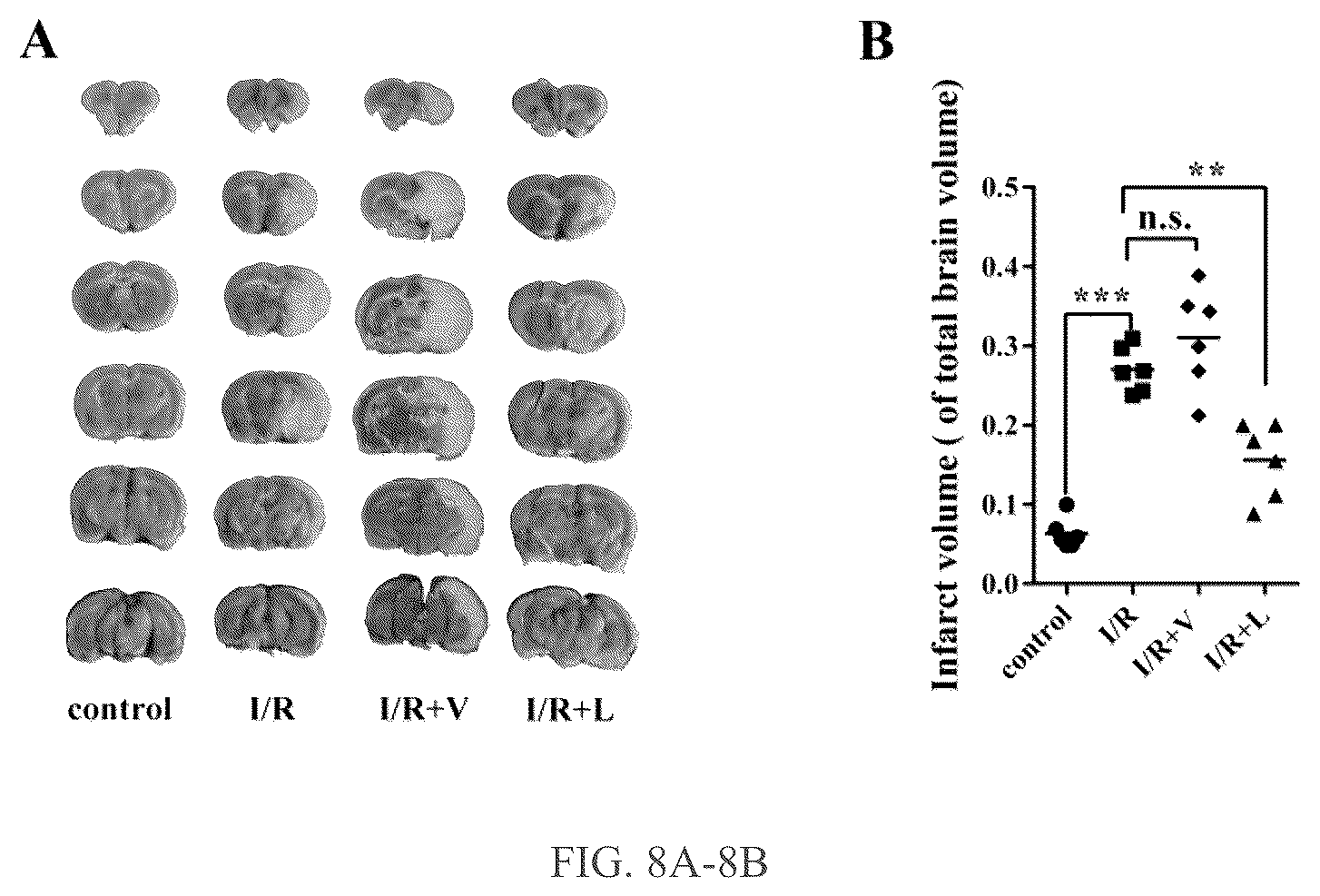 Patent US12319750 Figure 8 – Hexokinase 2-specific inhibitors for use in acute central nervous system injury
