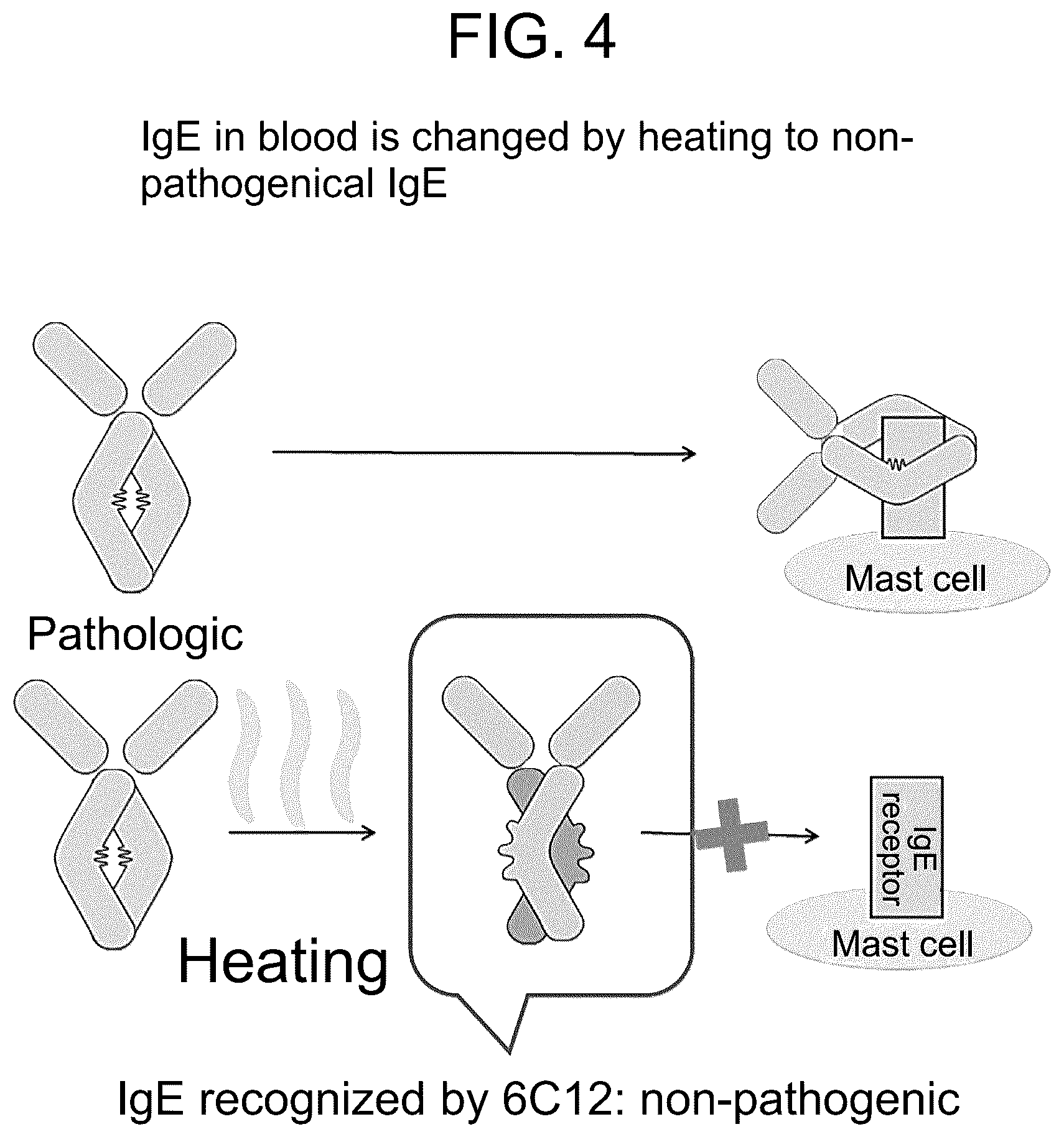 Patent US12319751 Figure 4 – Anti-IgE antibody specifically binding to membrane-bound IgE antibody of IgE antibody-producing B cells and method for diagnosing and treating allergic symptoms using the same