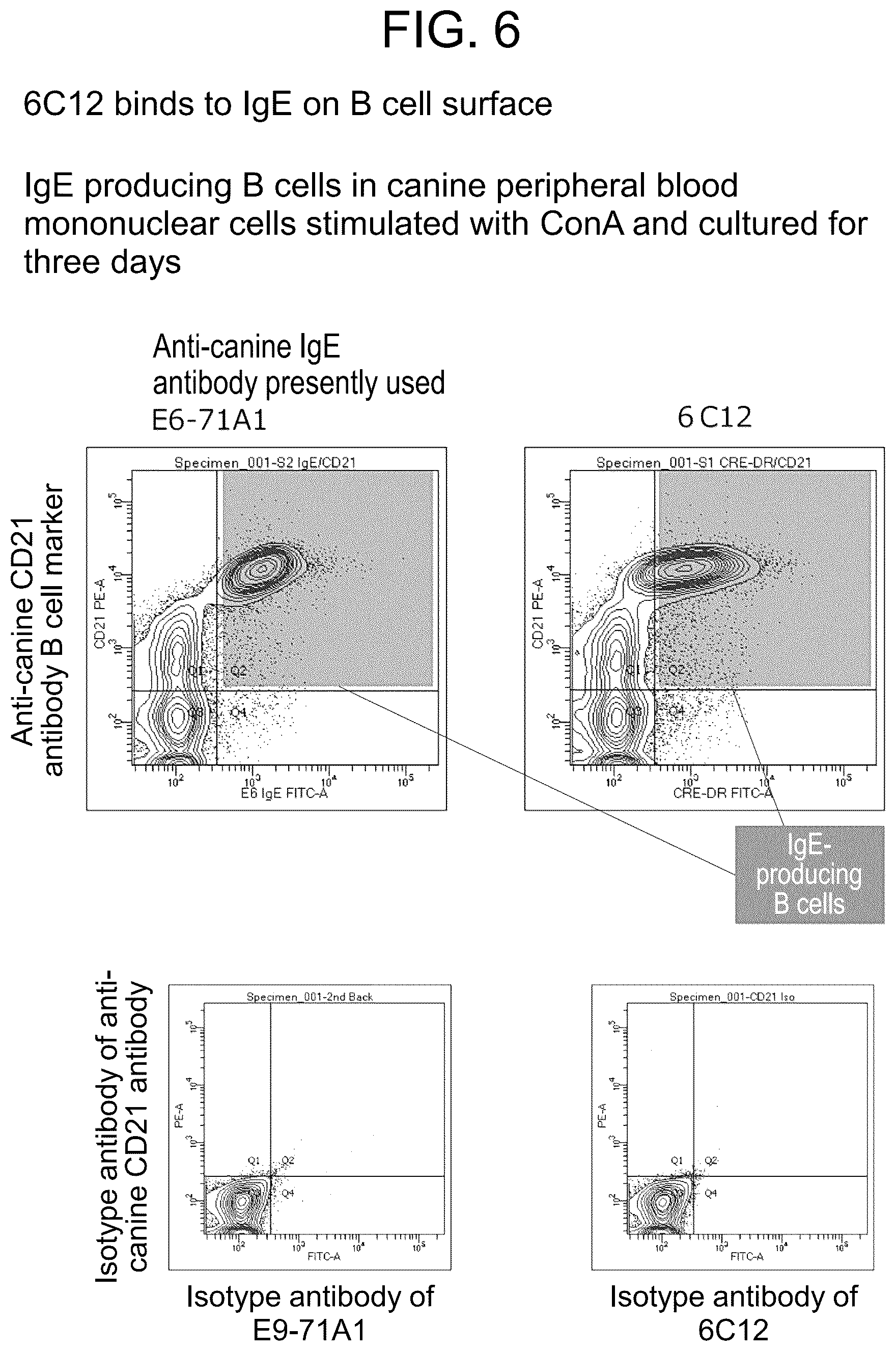 Patent US12319751 Figure 6 – Anti-IgE antibody specifically binding to membrane-bound IgE antibody of IgE antibody-producing B cells and method for diagnosing and treating allergic symptoms using the same