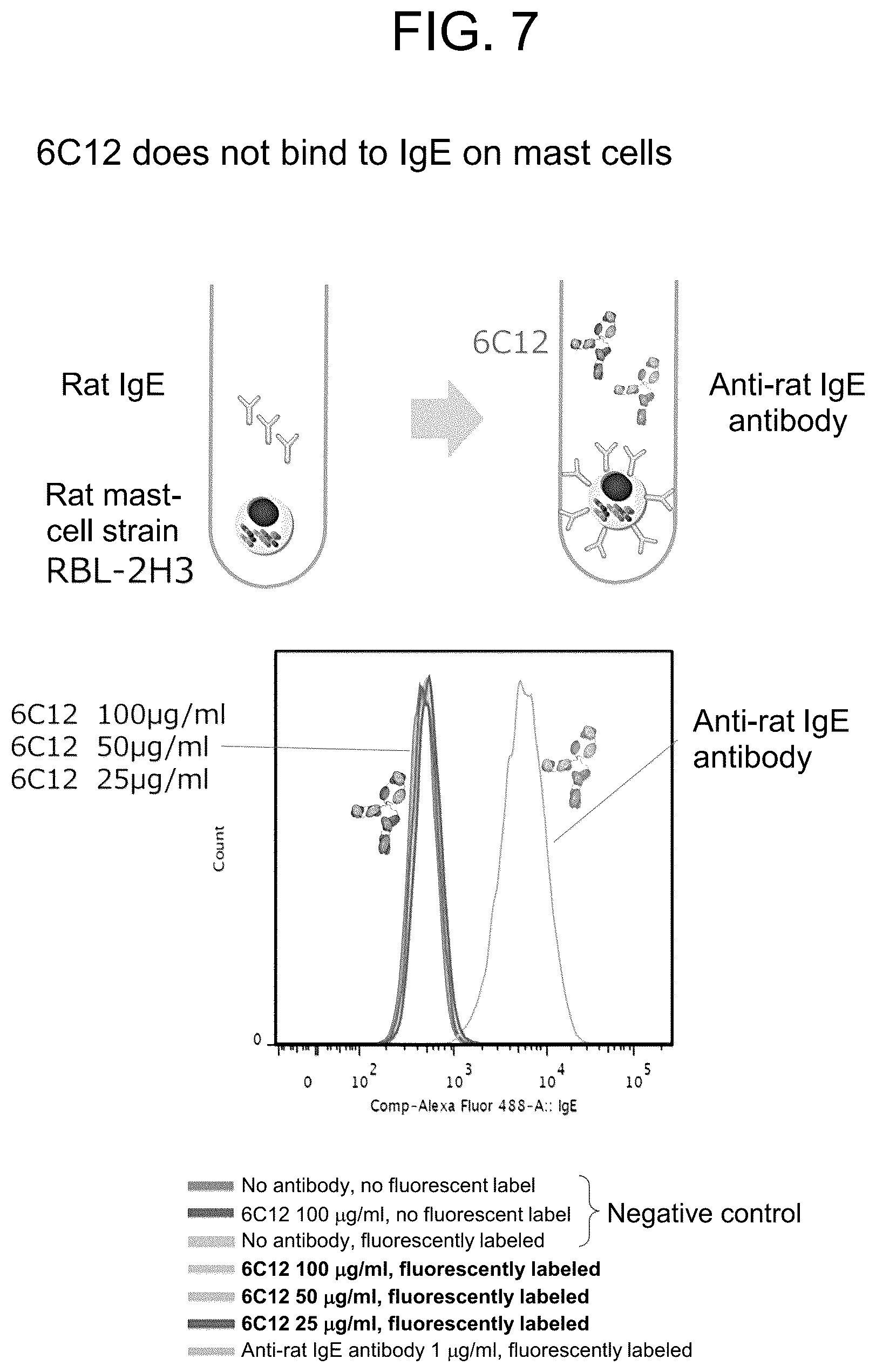 Patent US12319751 Figure 7 – Anti-IgE antibody specifically binding to membrane-bound IgE antibody of IgE antibody-producing B cells and method for diagnosing and treating allergic symptoms using the same