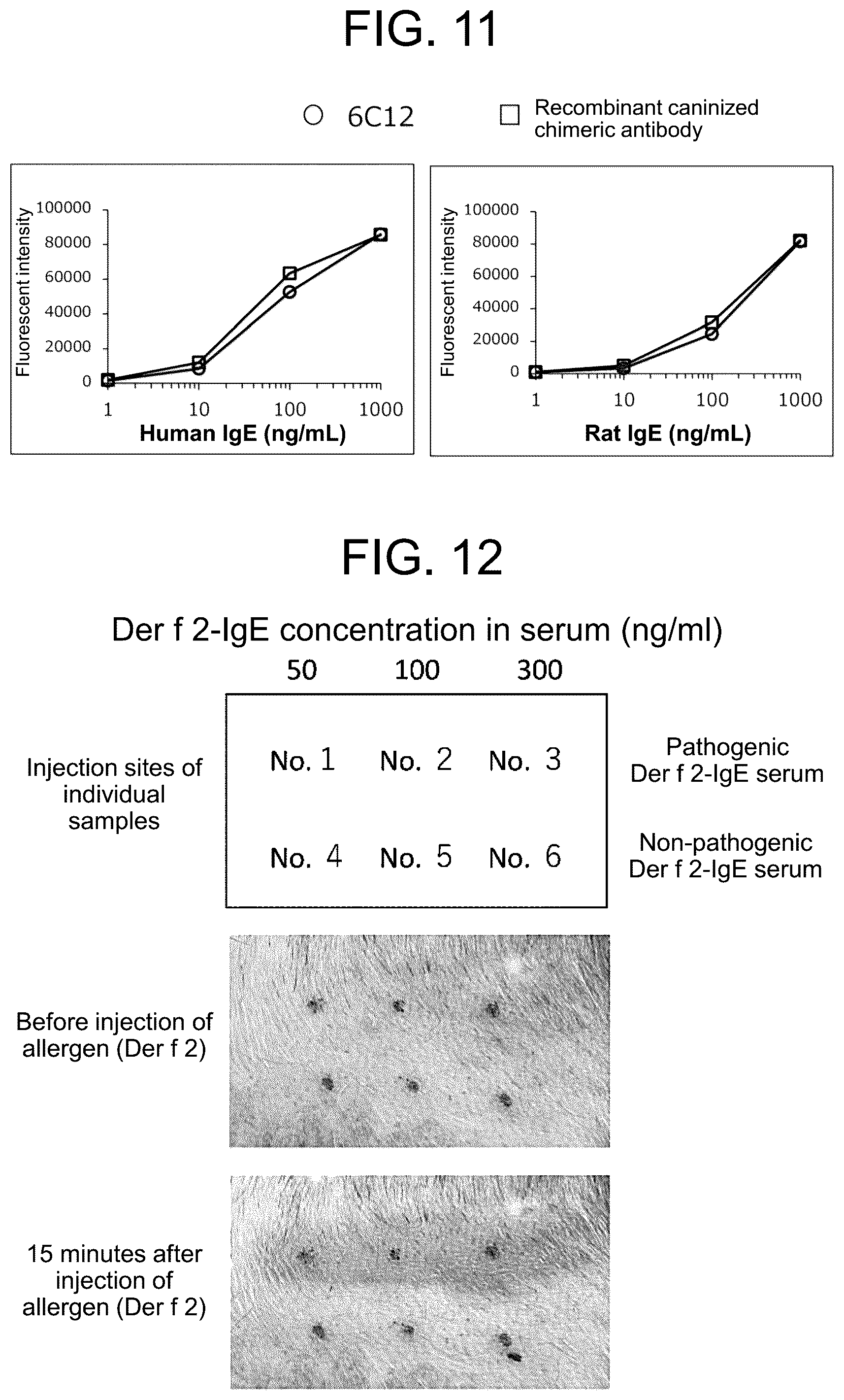 Patent US12319751 Figure 10 – Anti-IgE antibody specifically binding to membrane-bound IgE antibody of IgE antibody-producing B cells and method for diagnosing and treating allergic symptoms using the same