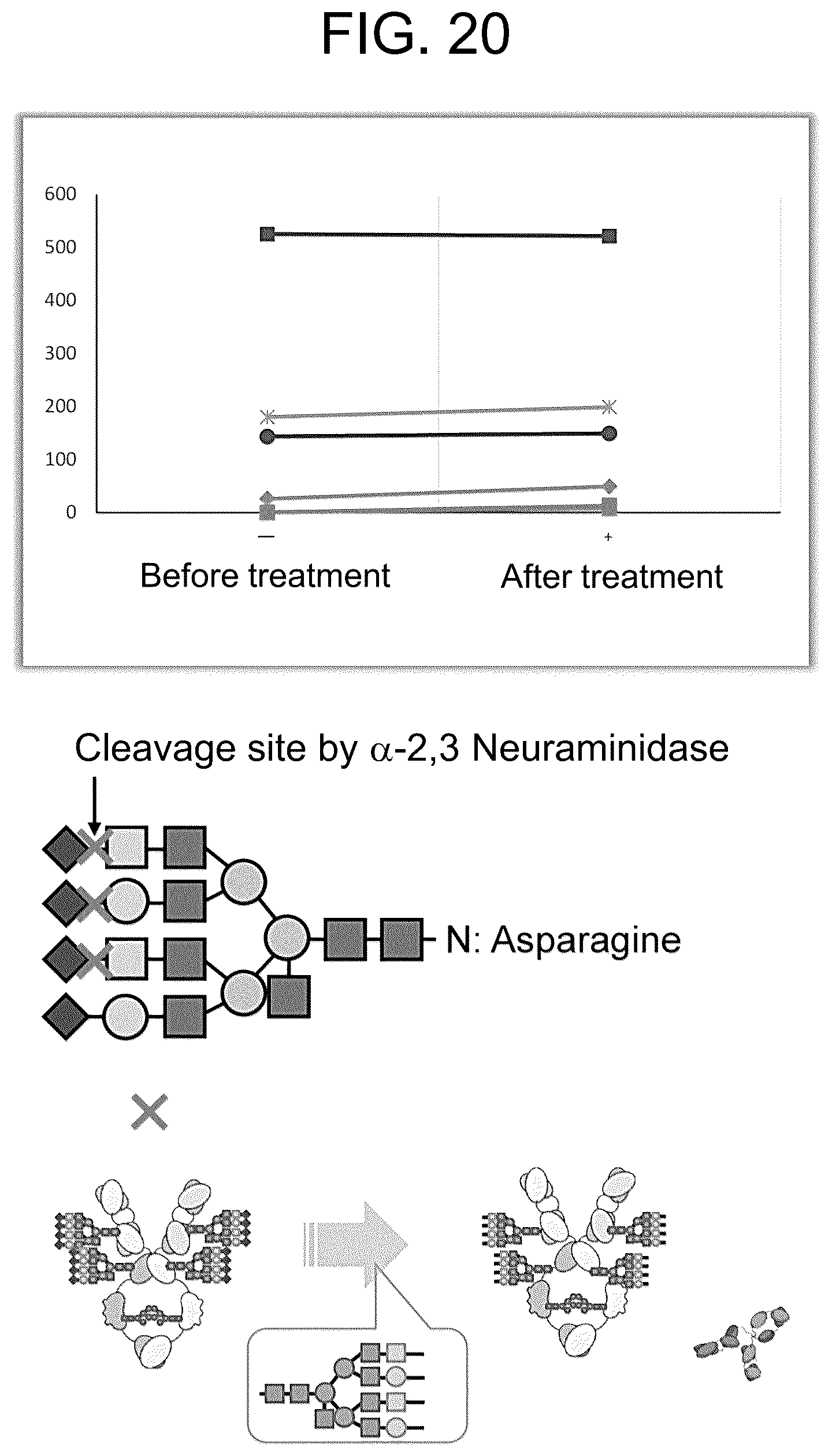 Patent US12319751 Figure 15 – Anti-IgE antibody specifically binding to membrane-bound IgE antibody of IgE antibody-producing B cells and method for diagnosing and treating allergic symptoms using the same