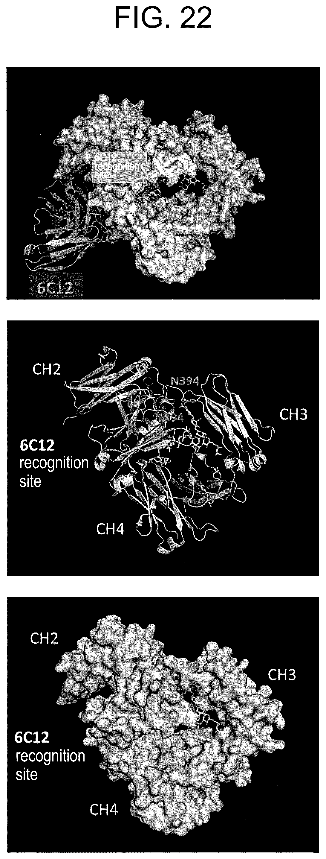 Patent US12319751 Figure 17 – Anti-IgE antibody specifically binding to membrane-bound IgE antibody of IgE antibody-producing B cells and method for diagnosing and treating allergic symptoms using the same