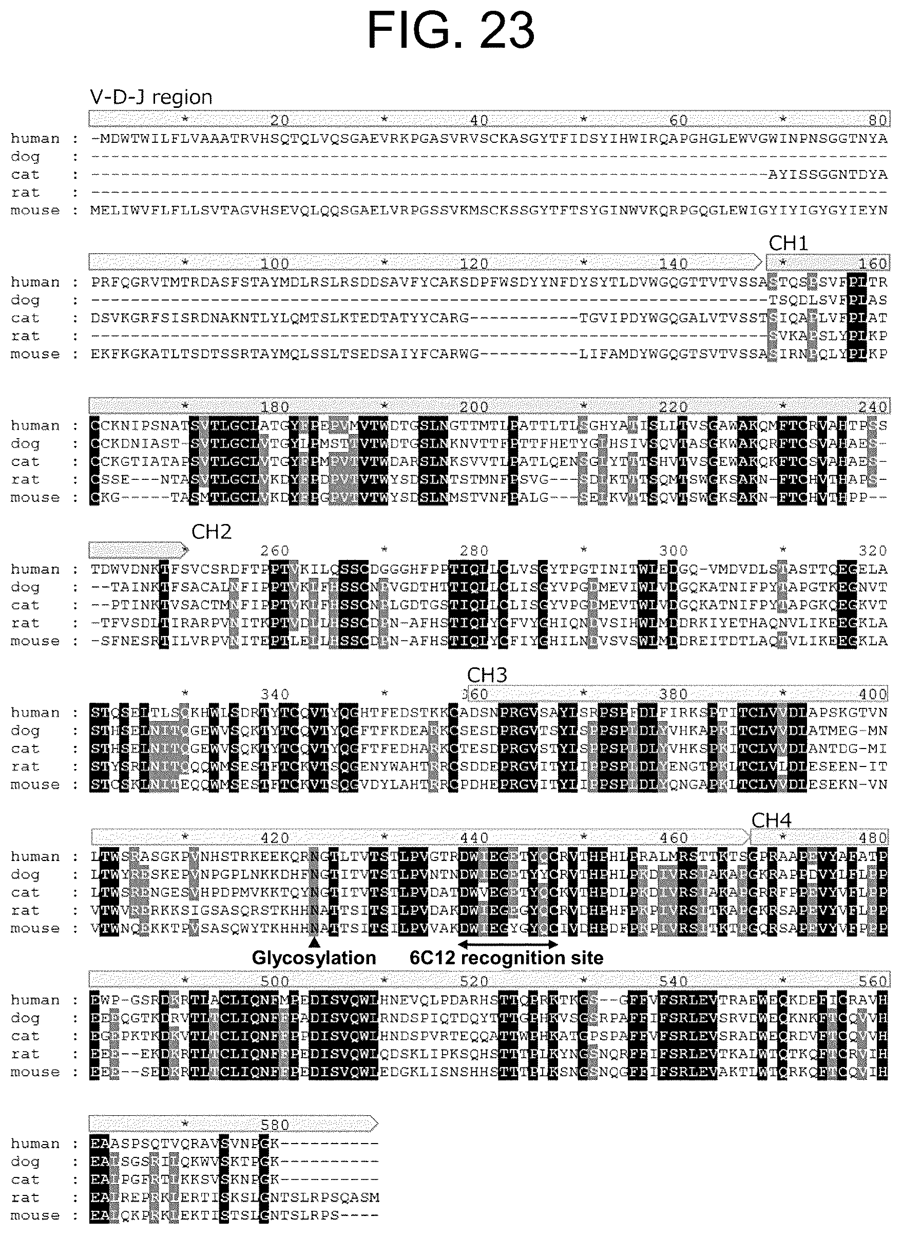 Patent US12319751 Figure 18 – Anti-IgE antibody specifically binding to membrane-bound IgE antibody of IgE antibody-producing B cells and method for diagnosing and treating allergic symptoms using the same